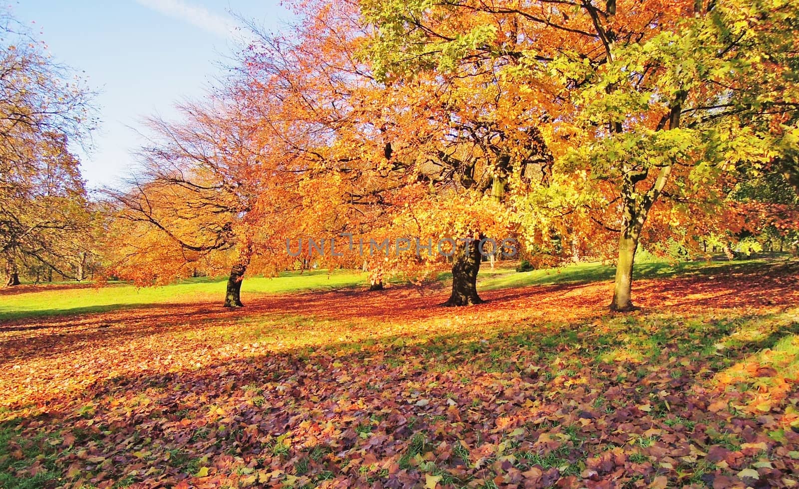 A colourful Autumn landscape.