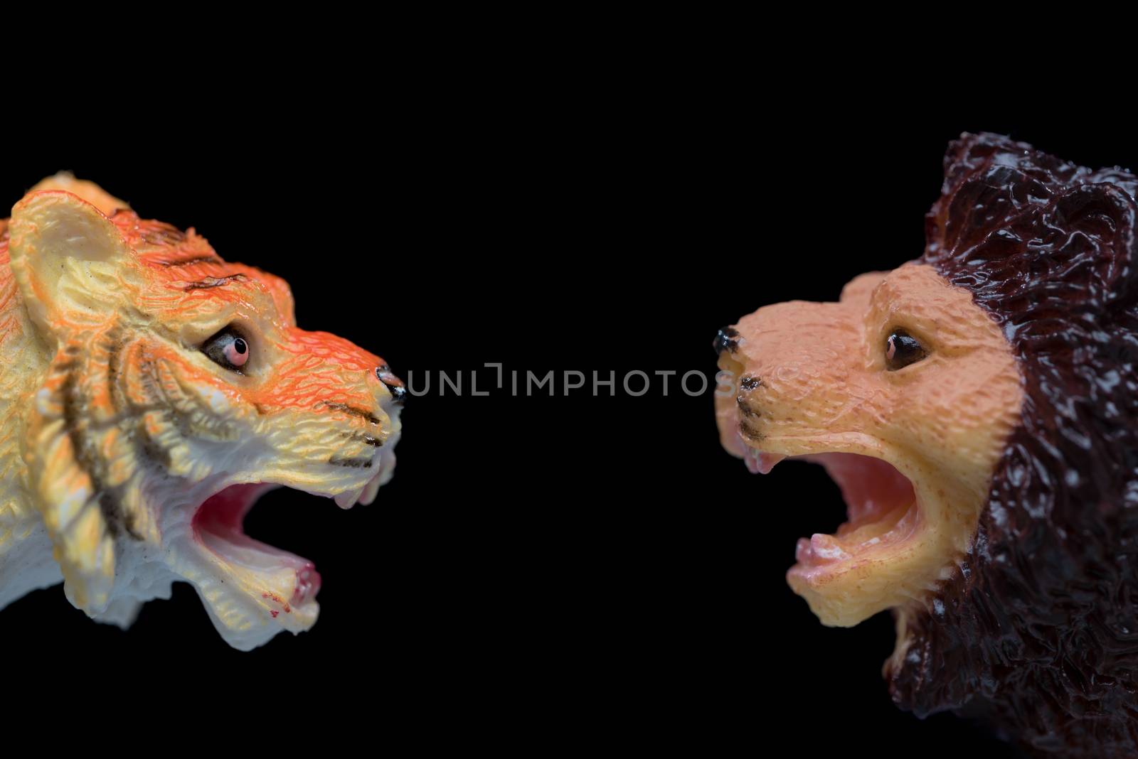 A small toy lion face to face with a small toy lion with strong aggressive expressions ioslated on a black background.