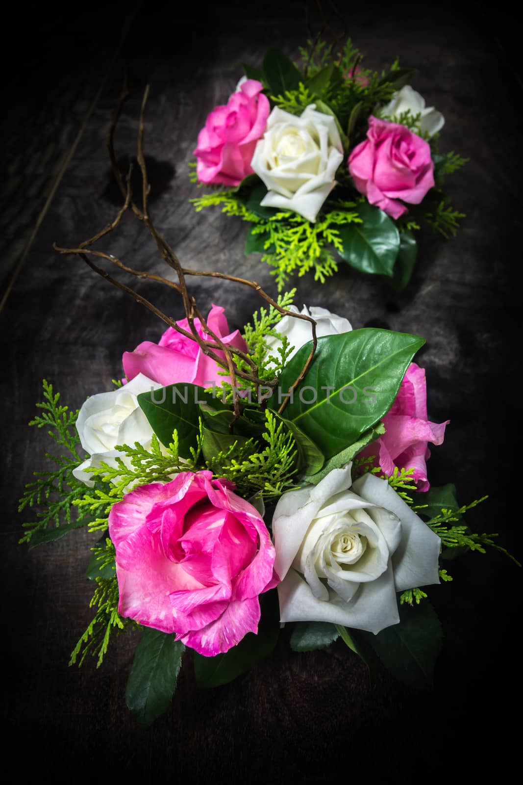 still life decorated pink and white rose with various leaves on dark wooden background