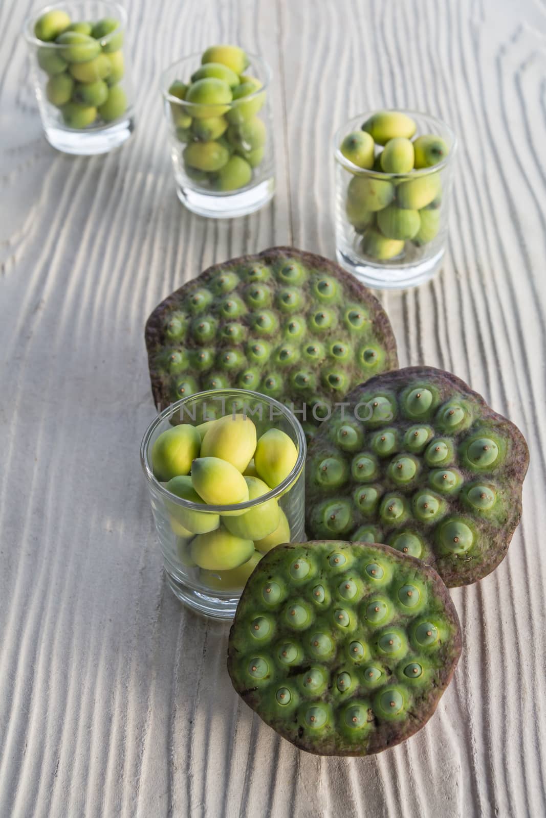 Young Lotus Seed in Glassware by matter77