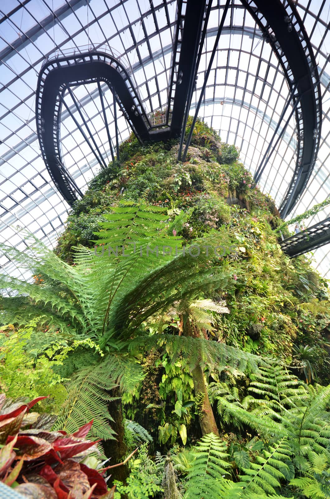 Cloud Forest at Gardens by the Bay by tang90246
