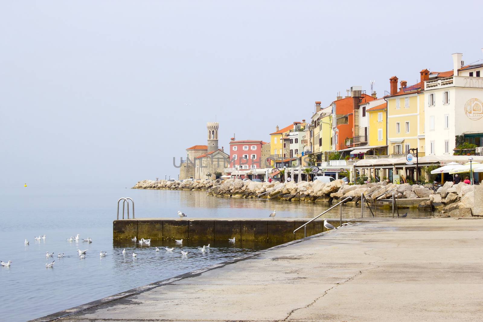 old town Piran - beautiful Slovenian adriatic coast by miradrozdowski