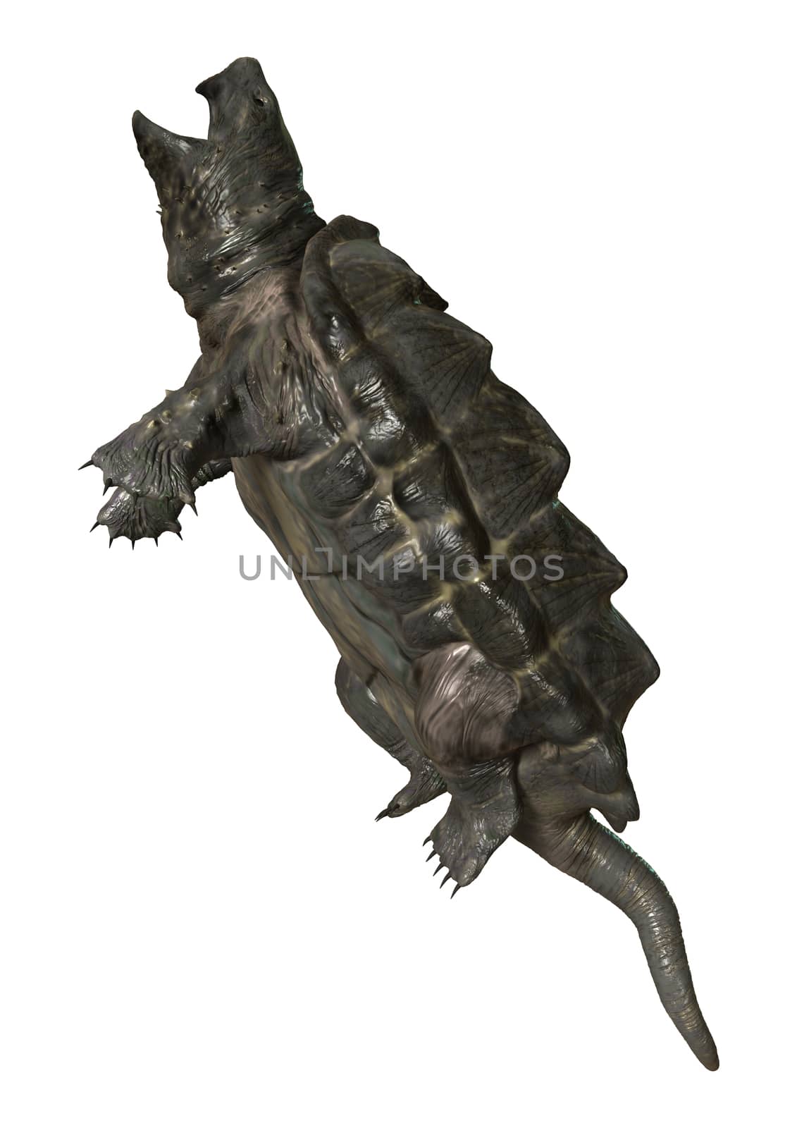 3D digital render of an alligator snapping turtle isolated on white background