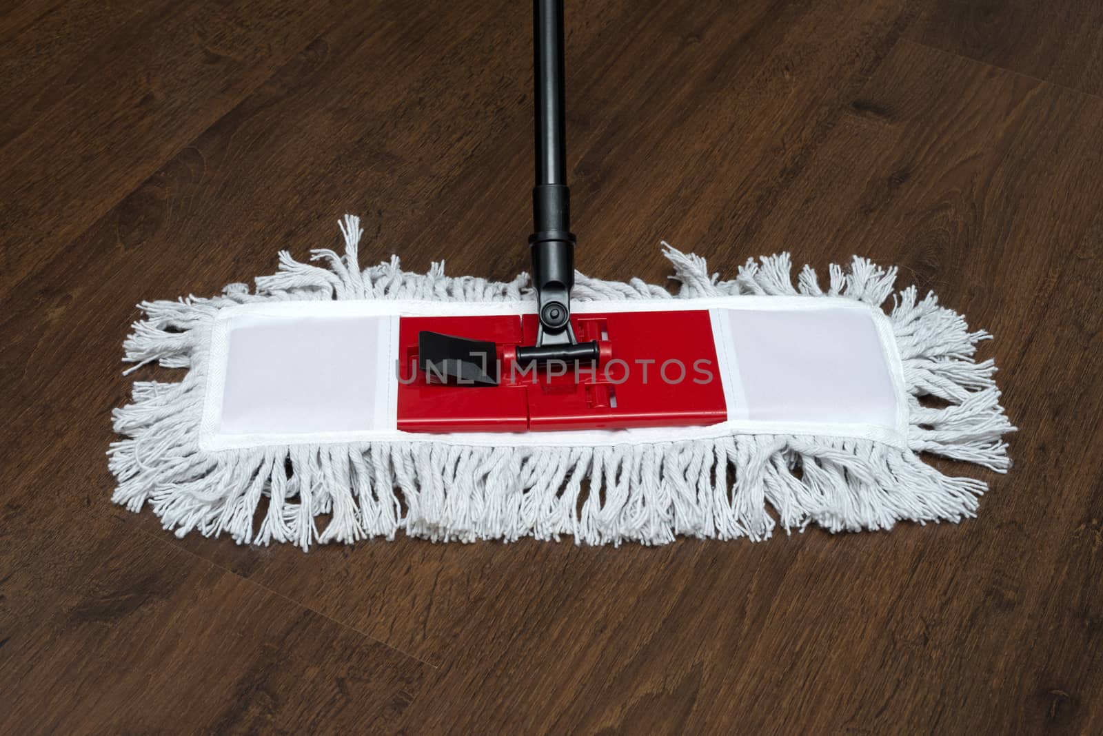 The mop on the parquet floor during cleaning