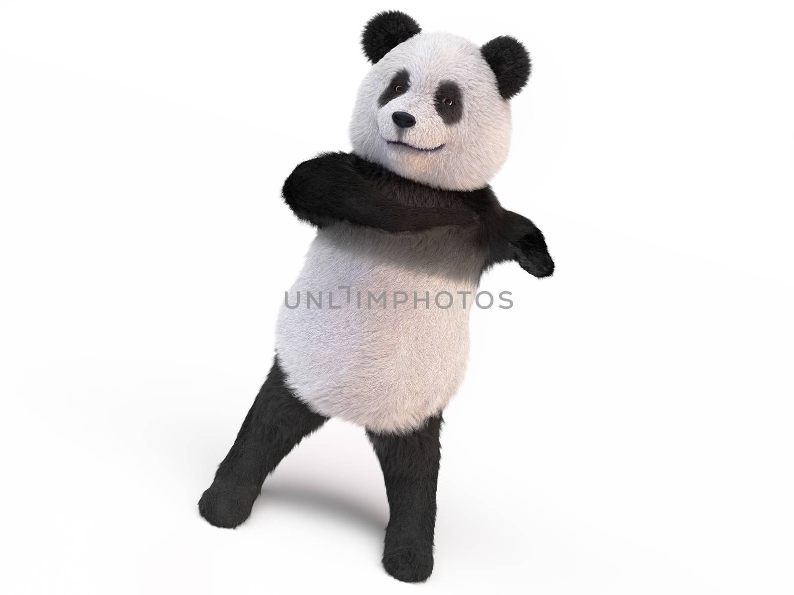 furry panda stands on two legs and makes twisting the body