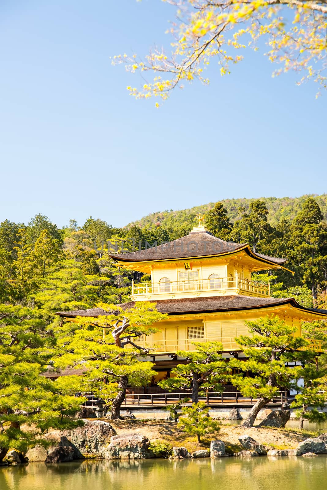 Kinkakuji (Golden Pavilion) is Old Japanese golden castle, Kinka by Yuri2012