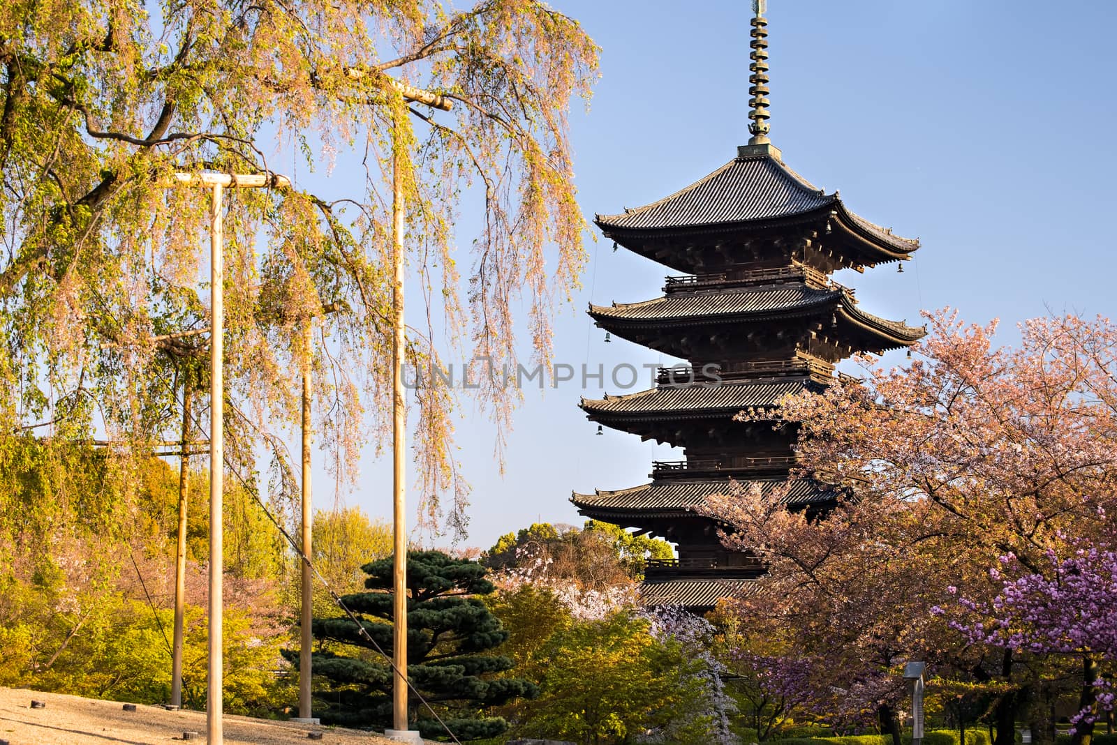 Kyoto, Japan at Toji temple in summer by Yuri2012