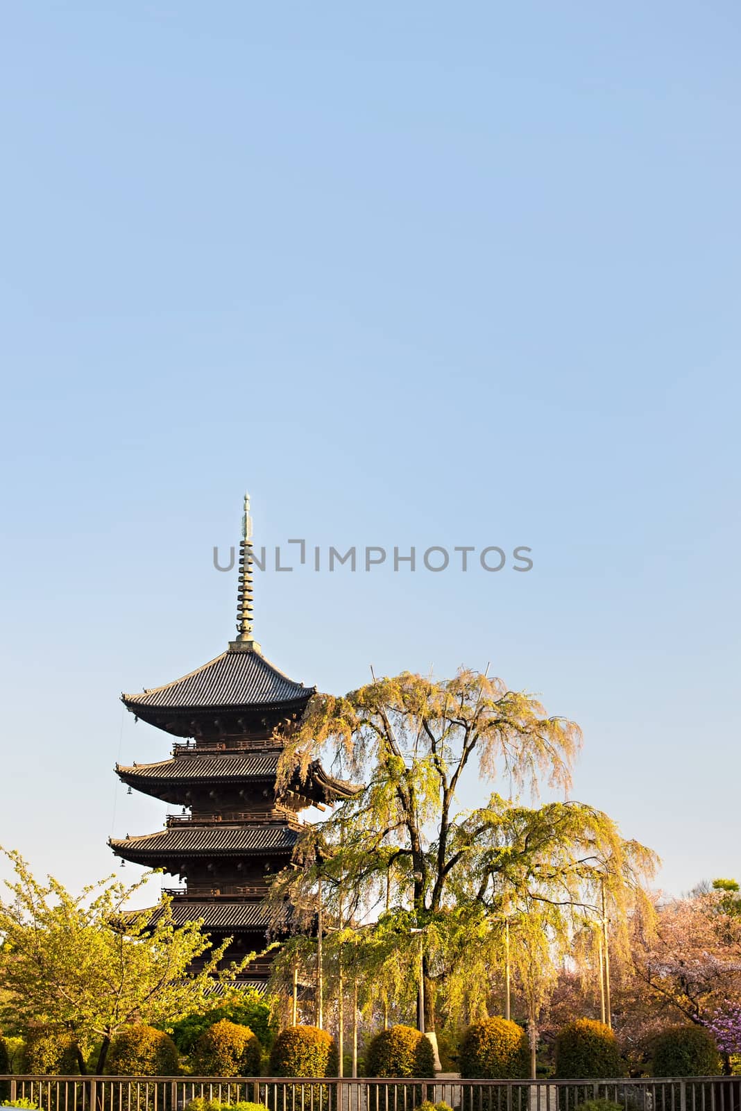 Kyoto, Japan at Toji temple in summer by Yuri2012