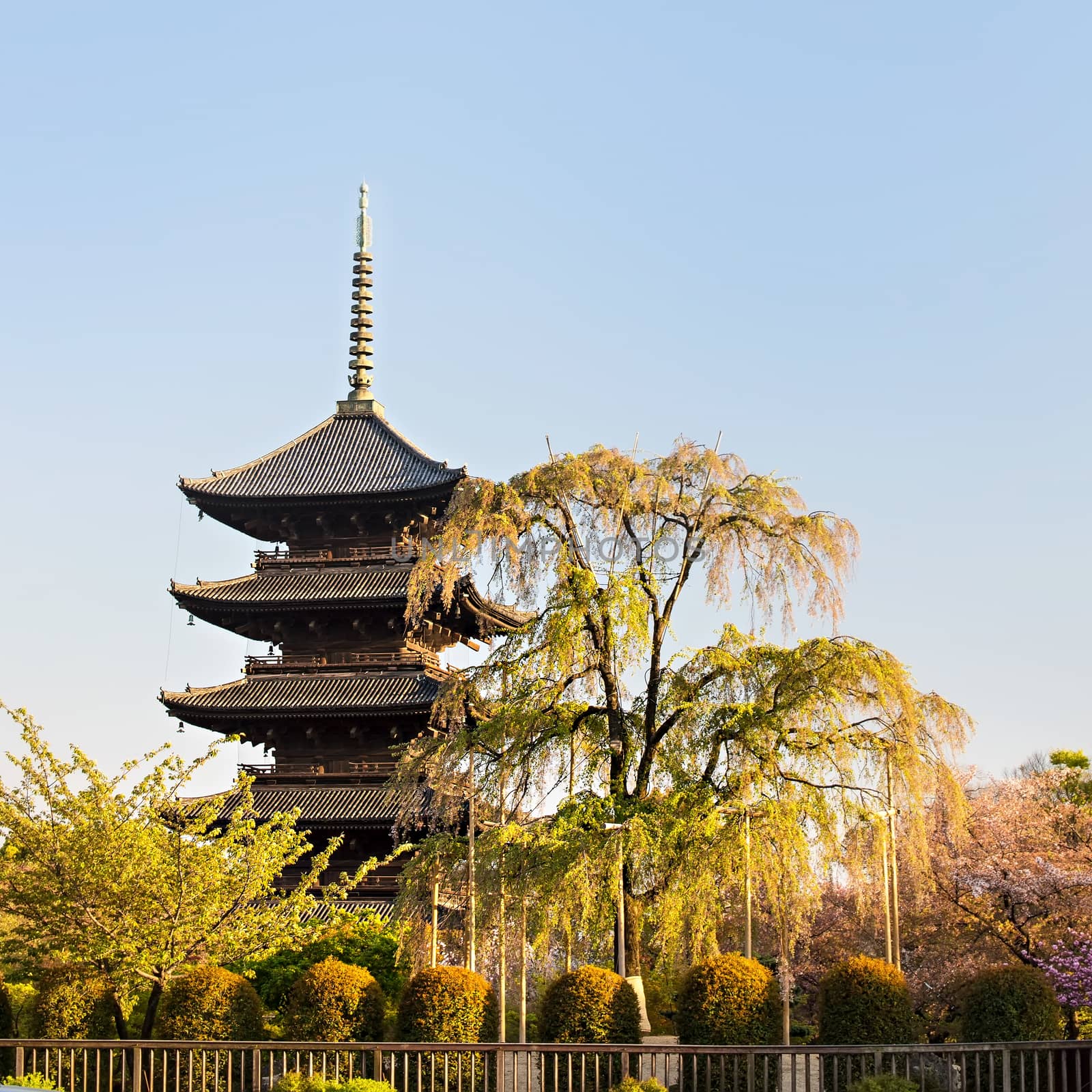 Kyoto, Japan at Toji temple in summer