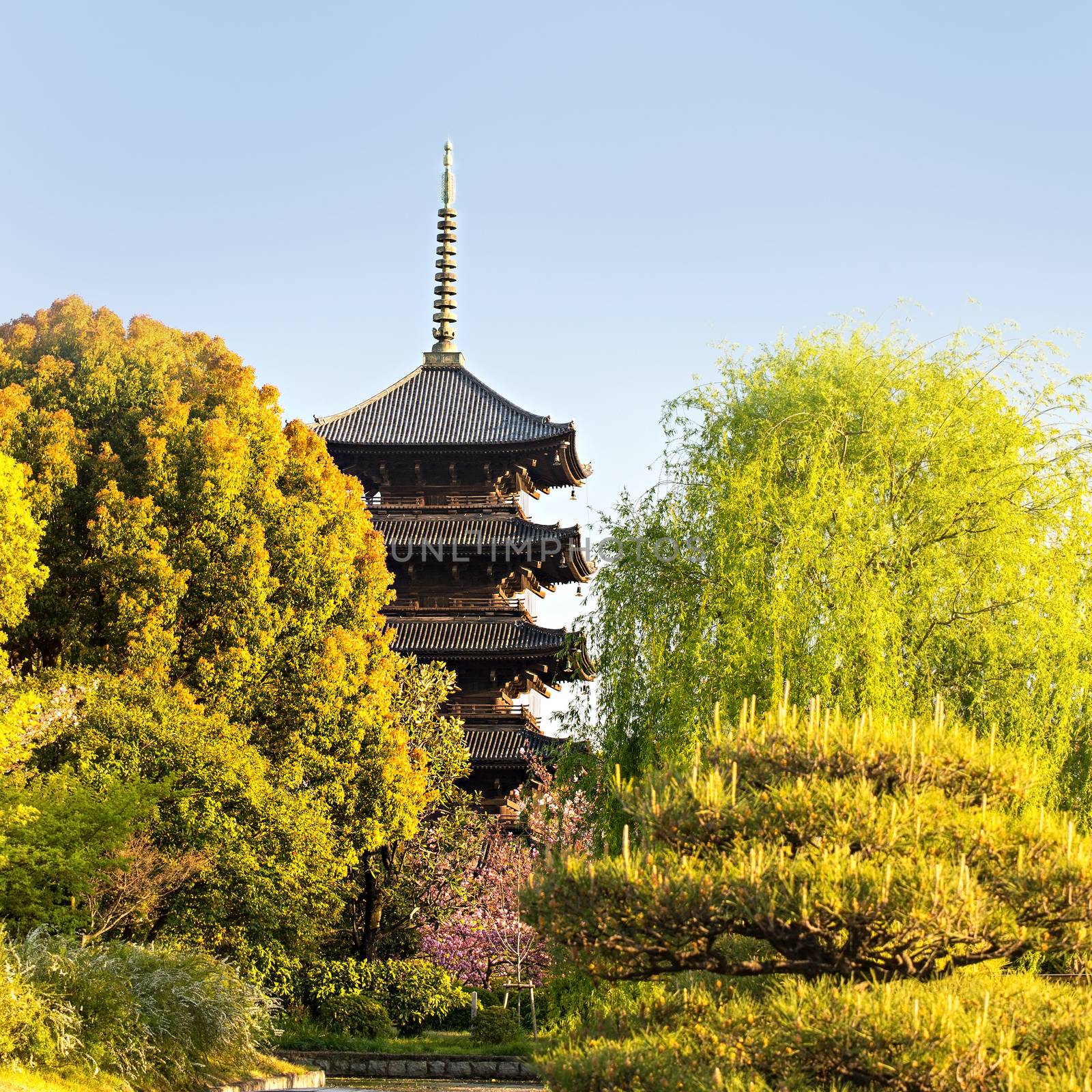 Kyoto, Japan at Toji temple in summer