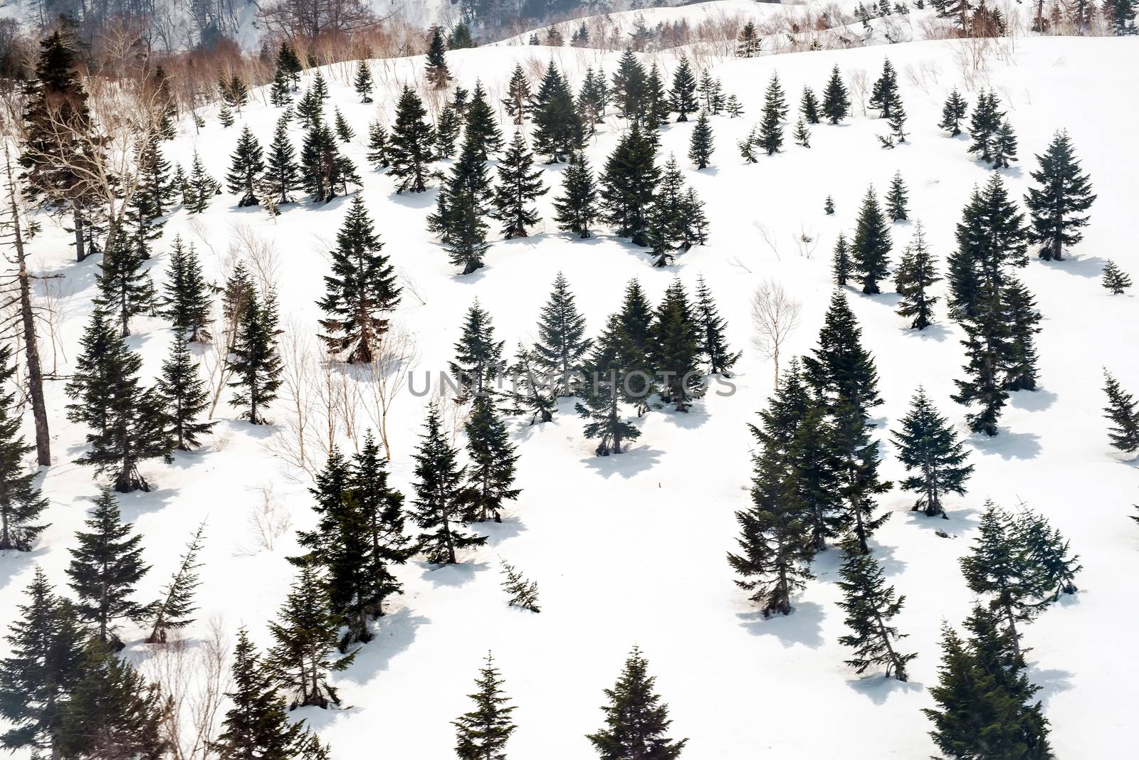 Japan Alps , Winter moutains with snow. by Yuri2012