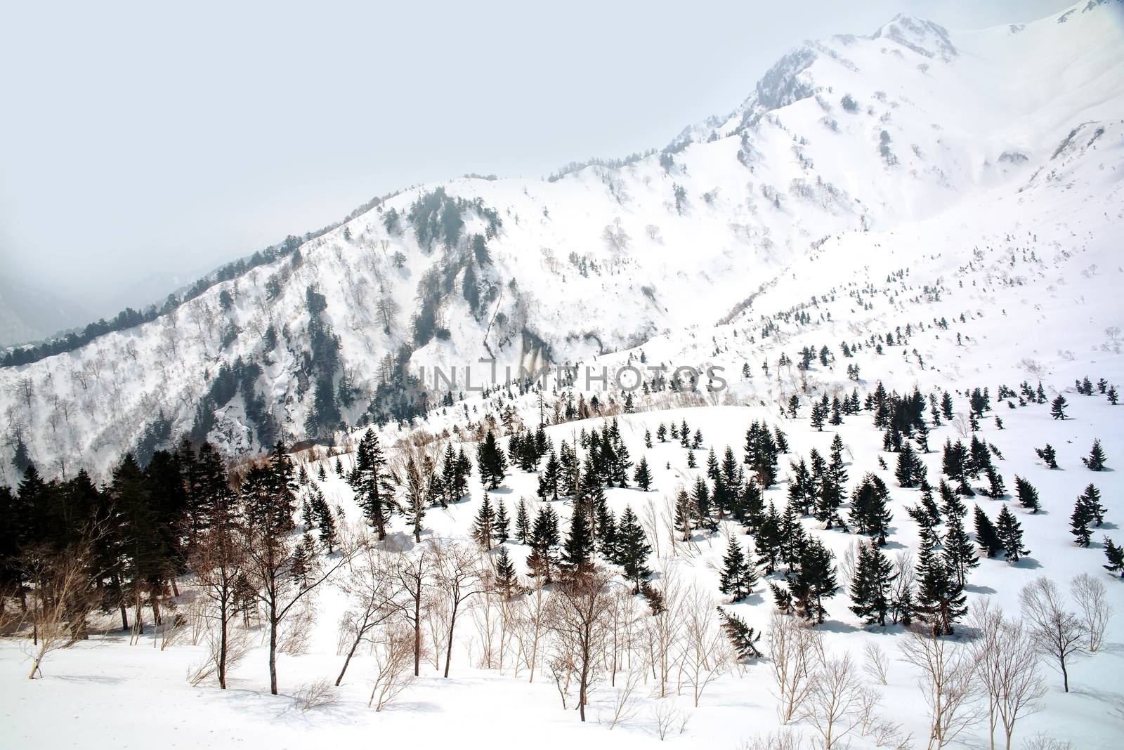 Japan Alps , Winter moutains with snow.Takayama Gifu, Japan