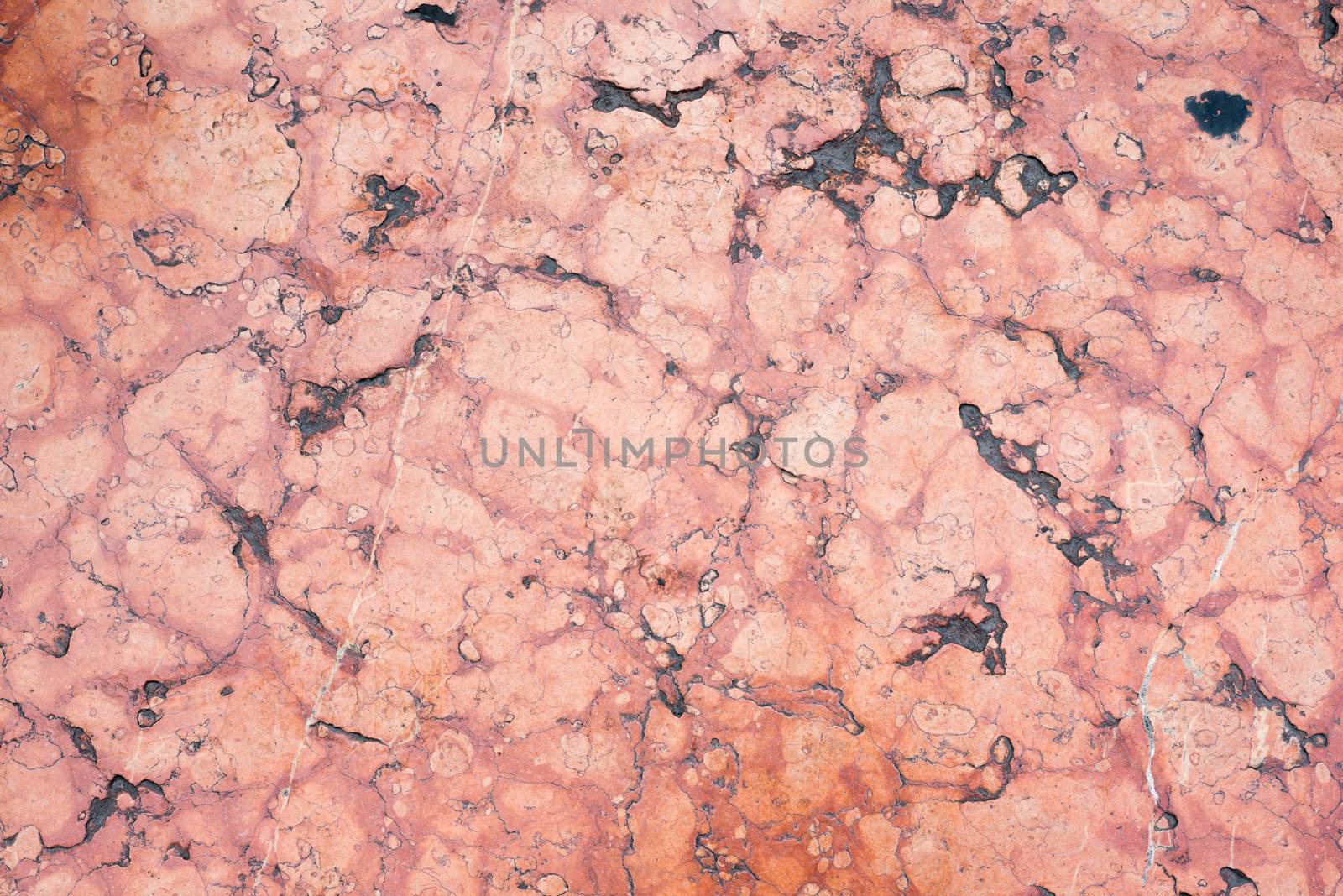 Marble texture background by cherezoff