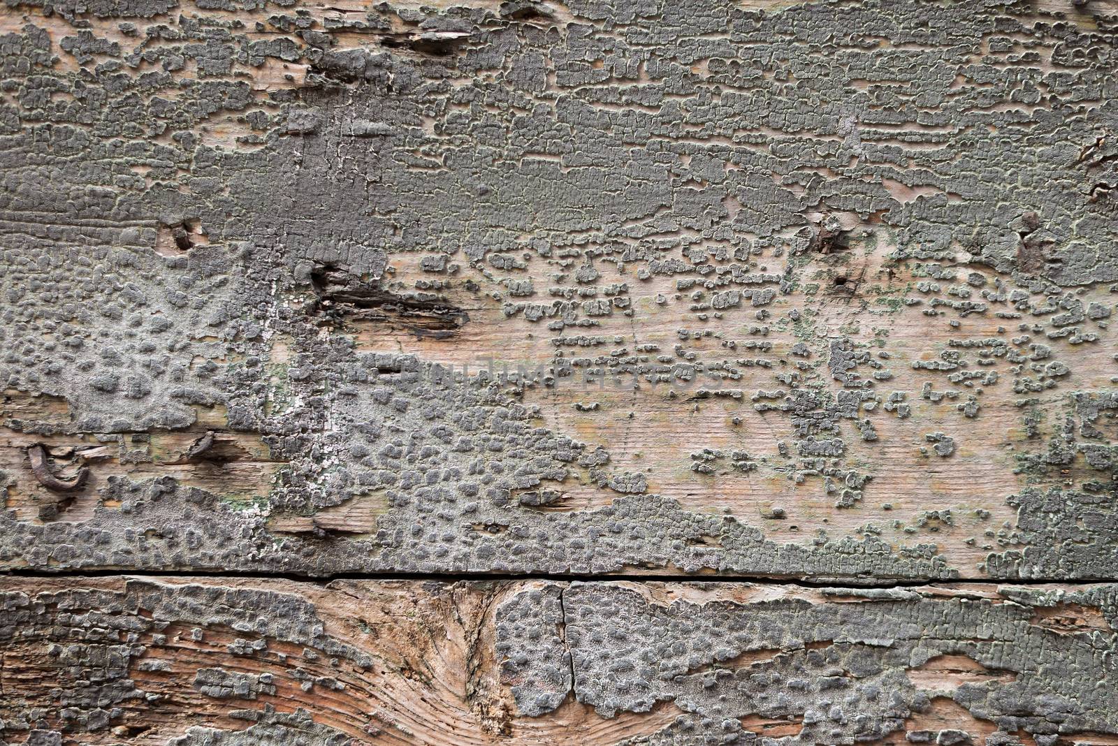 White wood texture background with cracks and nail, bad condition