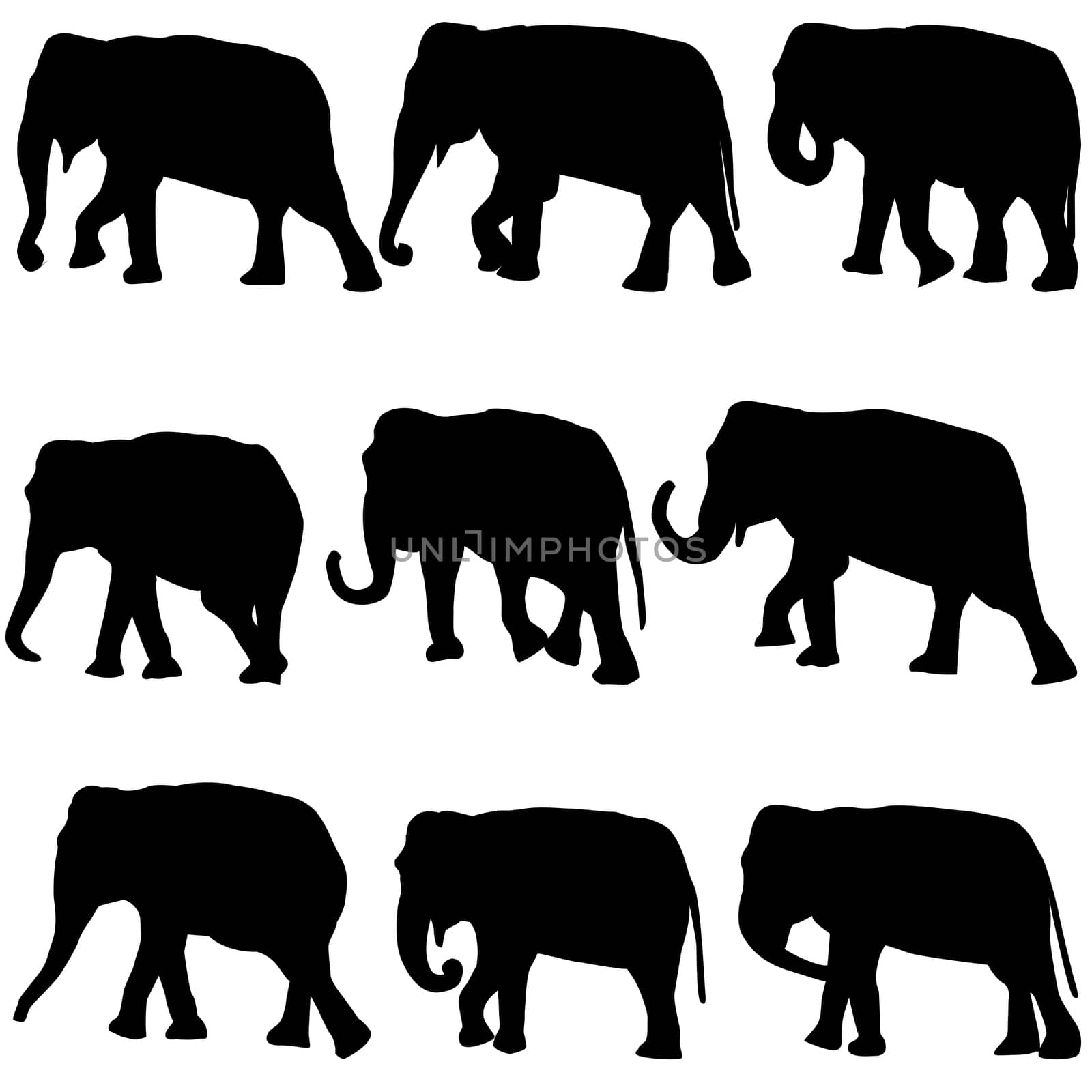 Set of black elelephants silhouettes