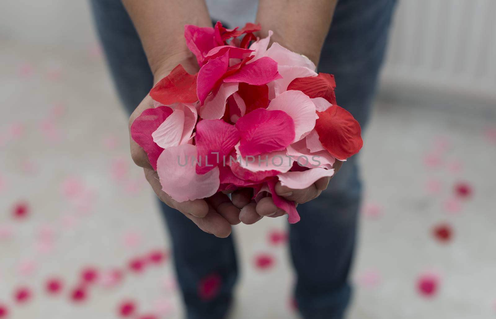 female hand full of res imitation rose petals 
