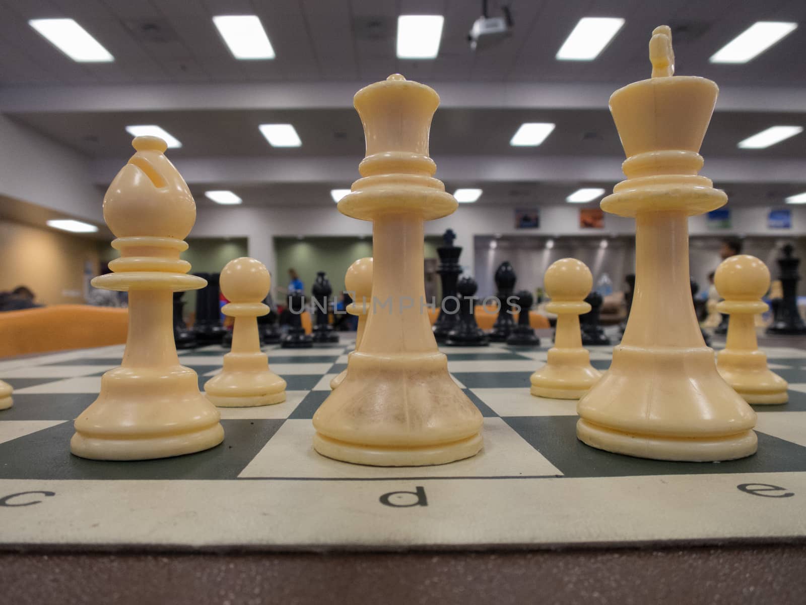 a white bishop, queen and king stand ready for battle