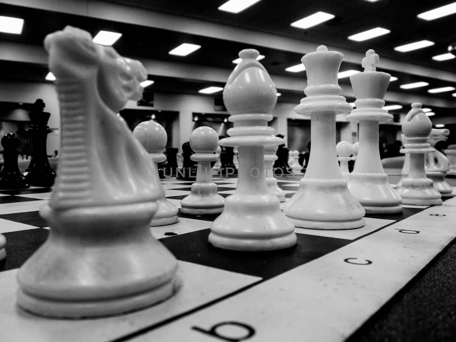 white chess pieces by vuthe