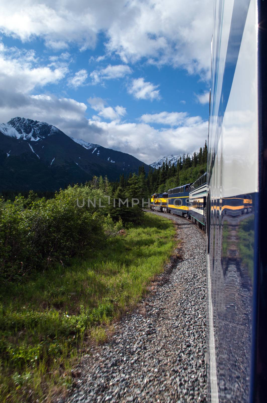 Alaskan Railway with a passenger train from Denali to Whitter