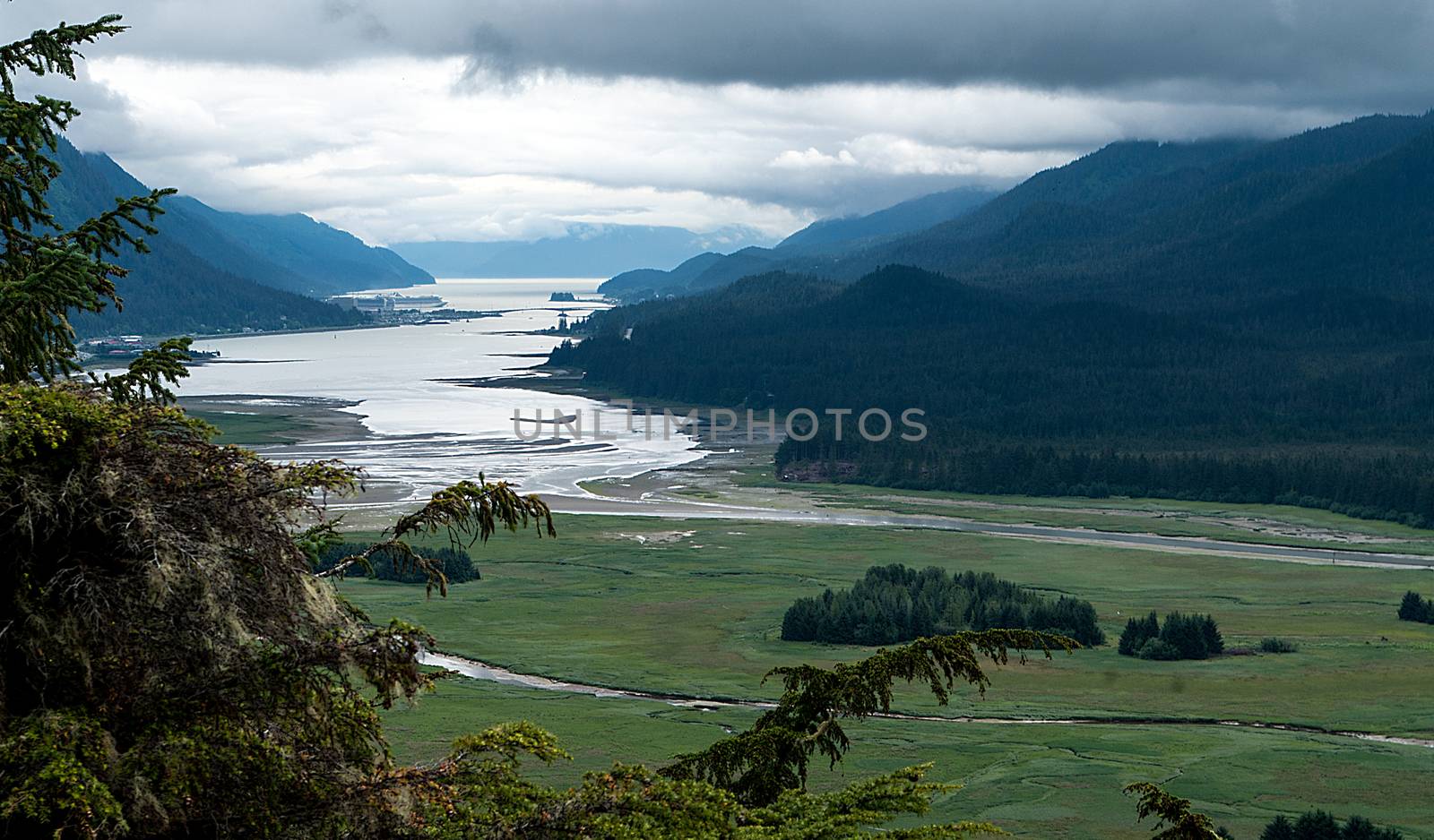 Juneau Harbour from the summit of the Glacier Gardens