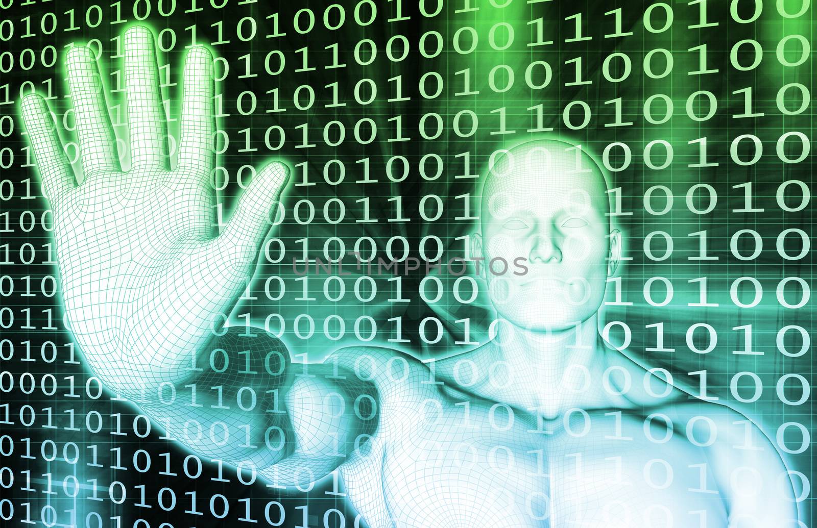Technology Provider of Solutions in a Business