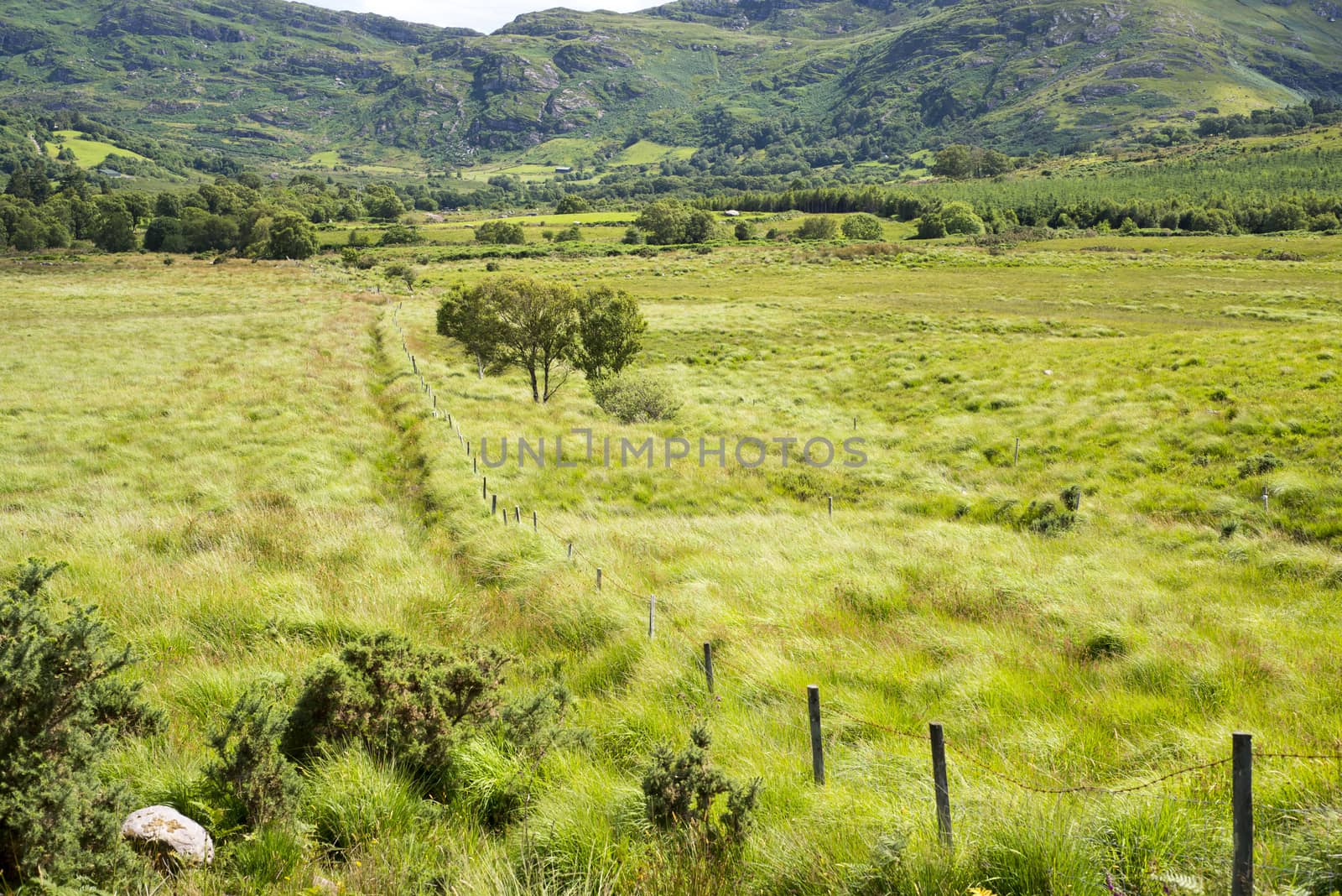 view from a beautiful hiking route the kerry way in ireland of fence leading to rocky mountains
