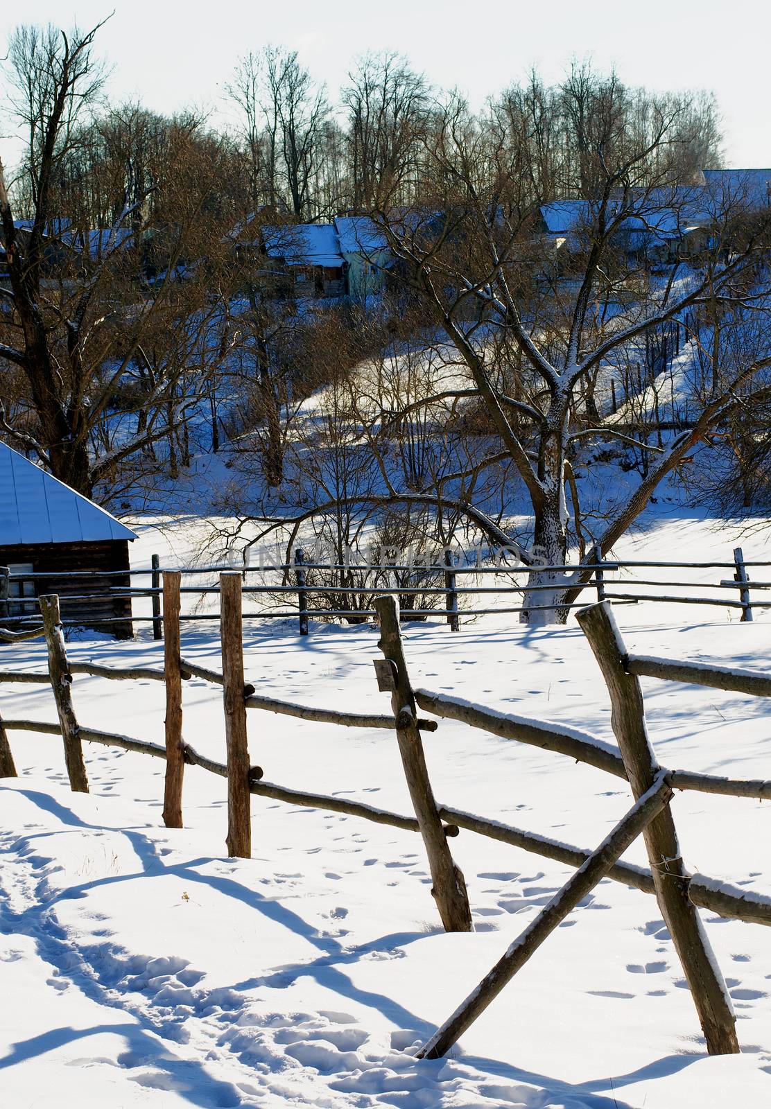 Rustic Winter Landscape in Old Village with Wooden Fence on Big Old Trees and Snow Field background Outdoors