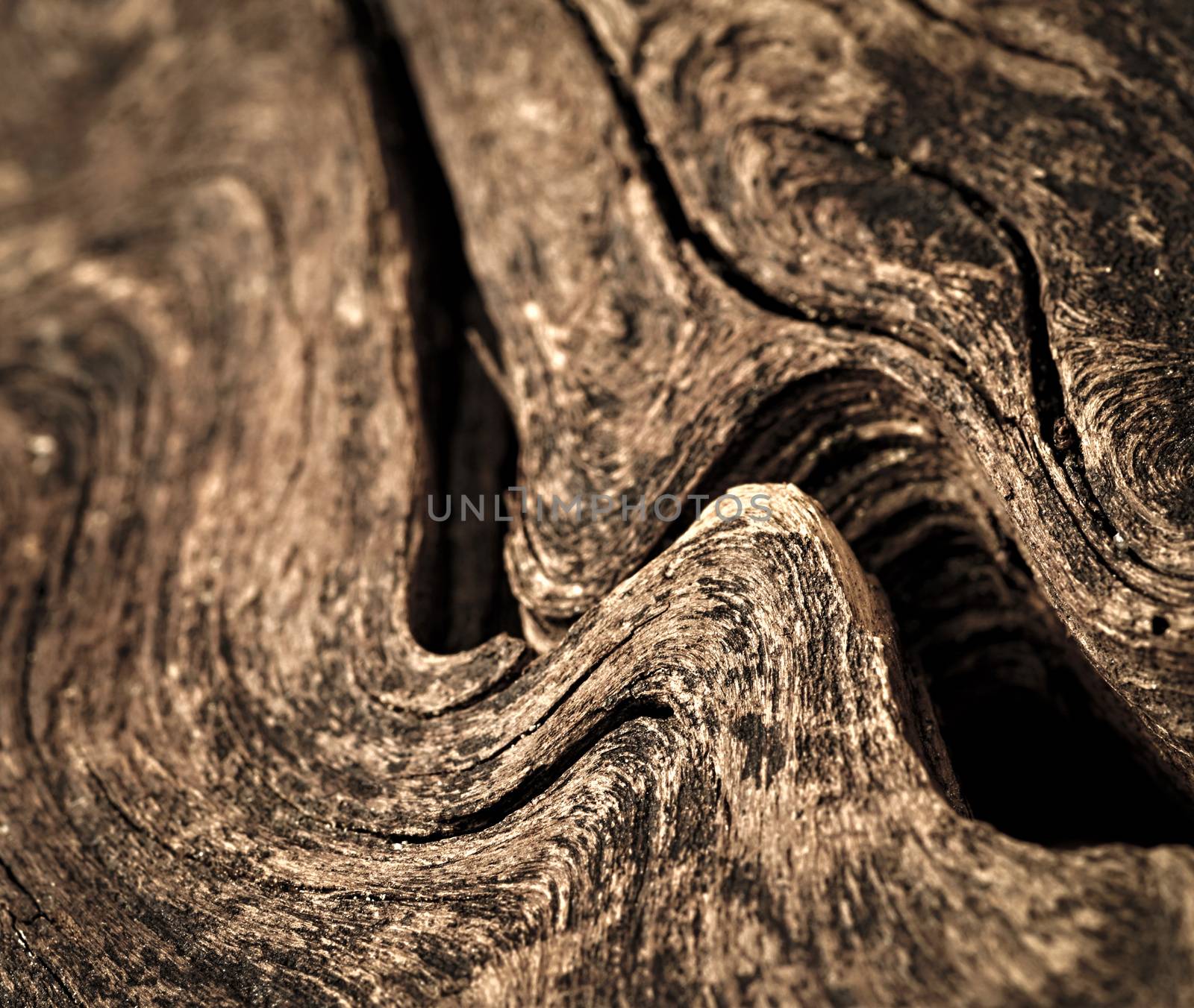 abstract background or texture ripples on old wood