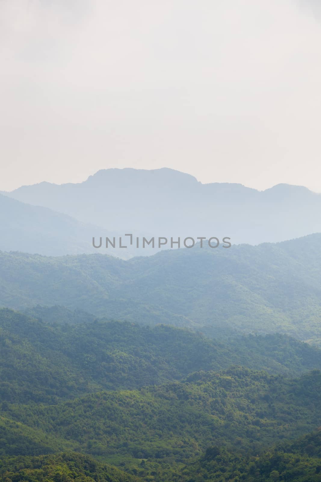 Forests and mountains. Rich Forest covering the whole mountain.