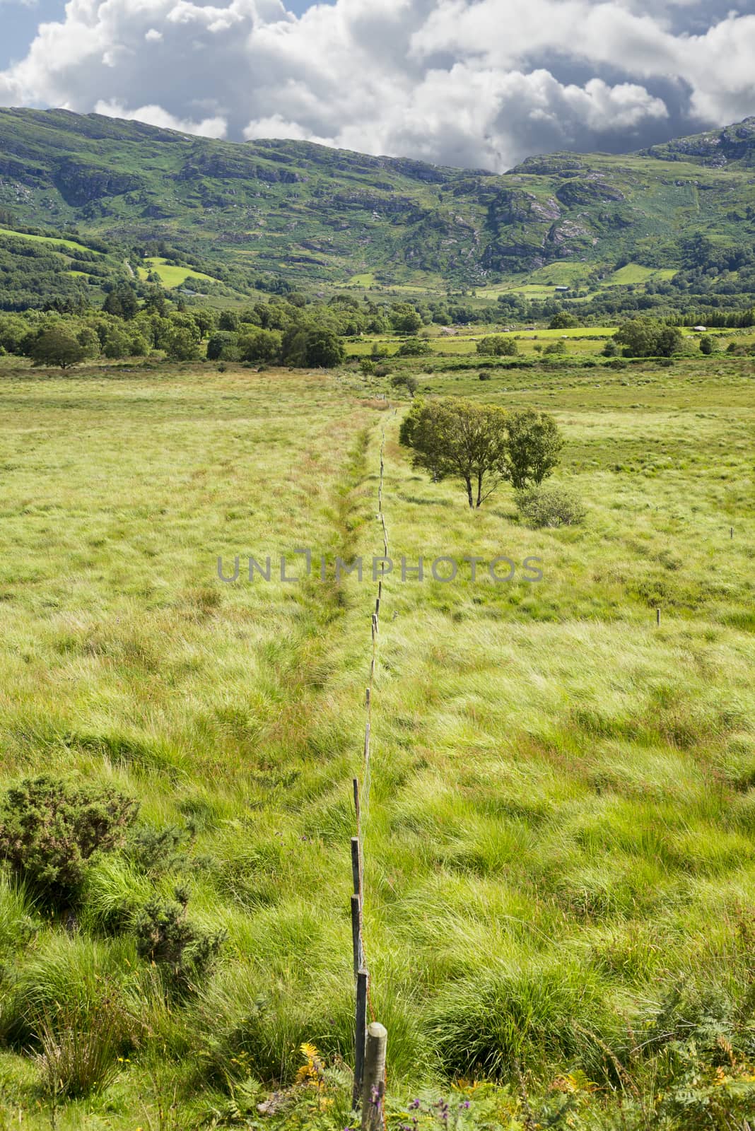 fence leading to green rocky mountains by morrbyte