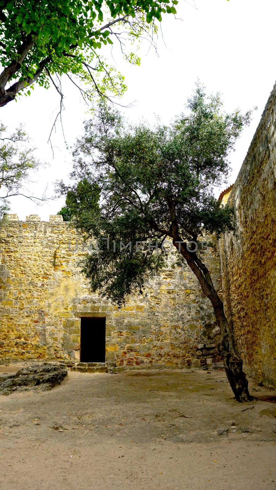 space inside castle st. Jorge portugal lisbon 