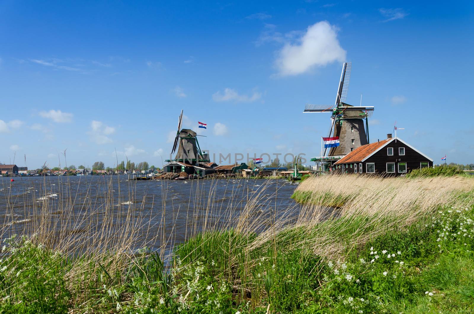 Wind mill of Zaanse Schans, The Netherlands