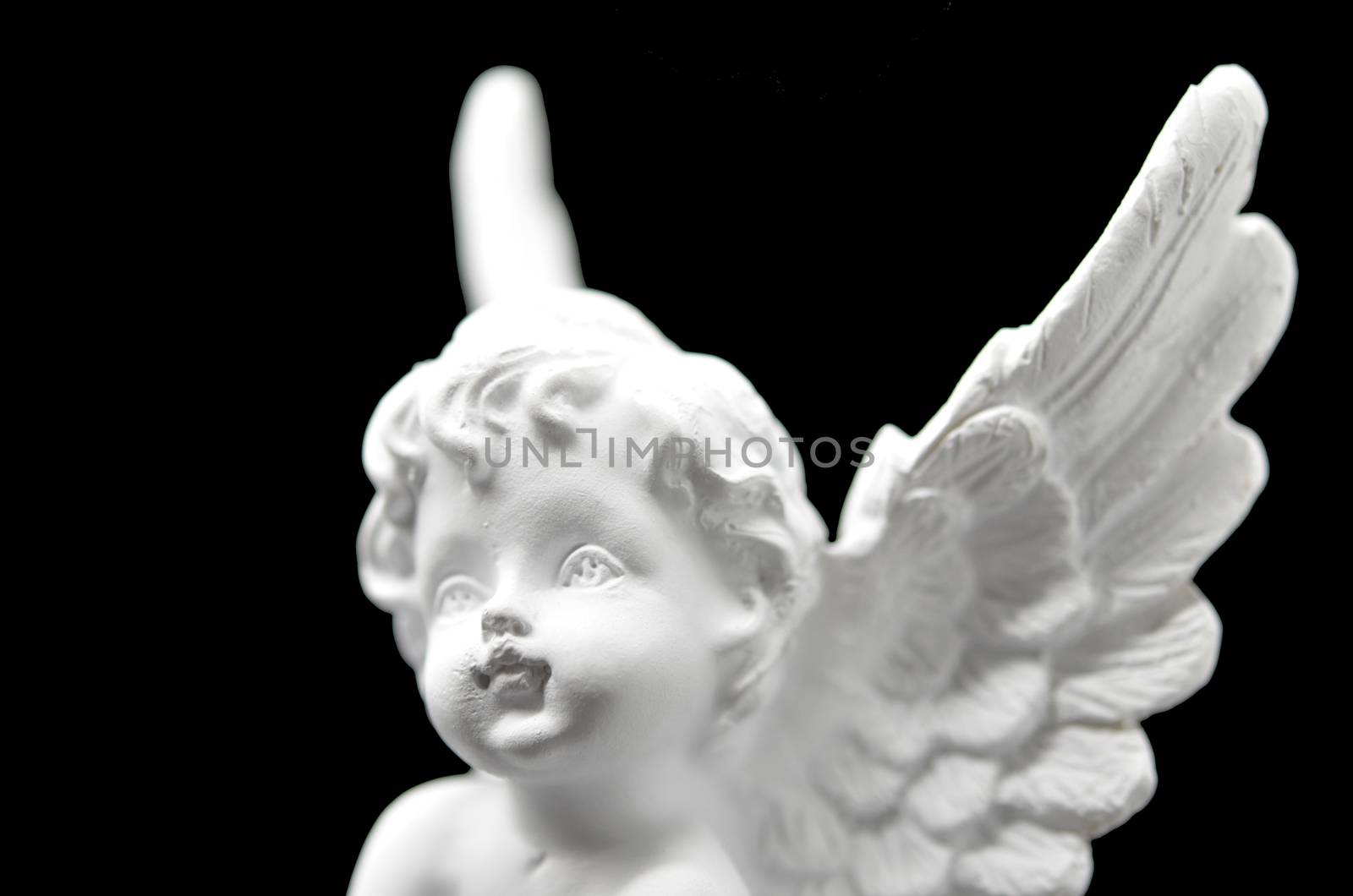 Beautiful White Angel isolated on black background