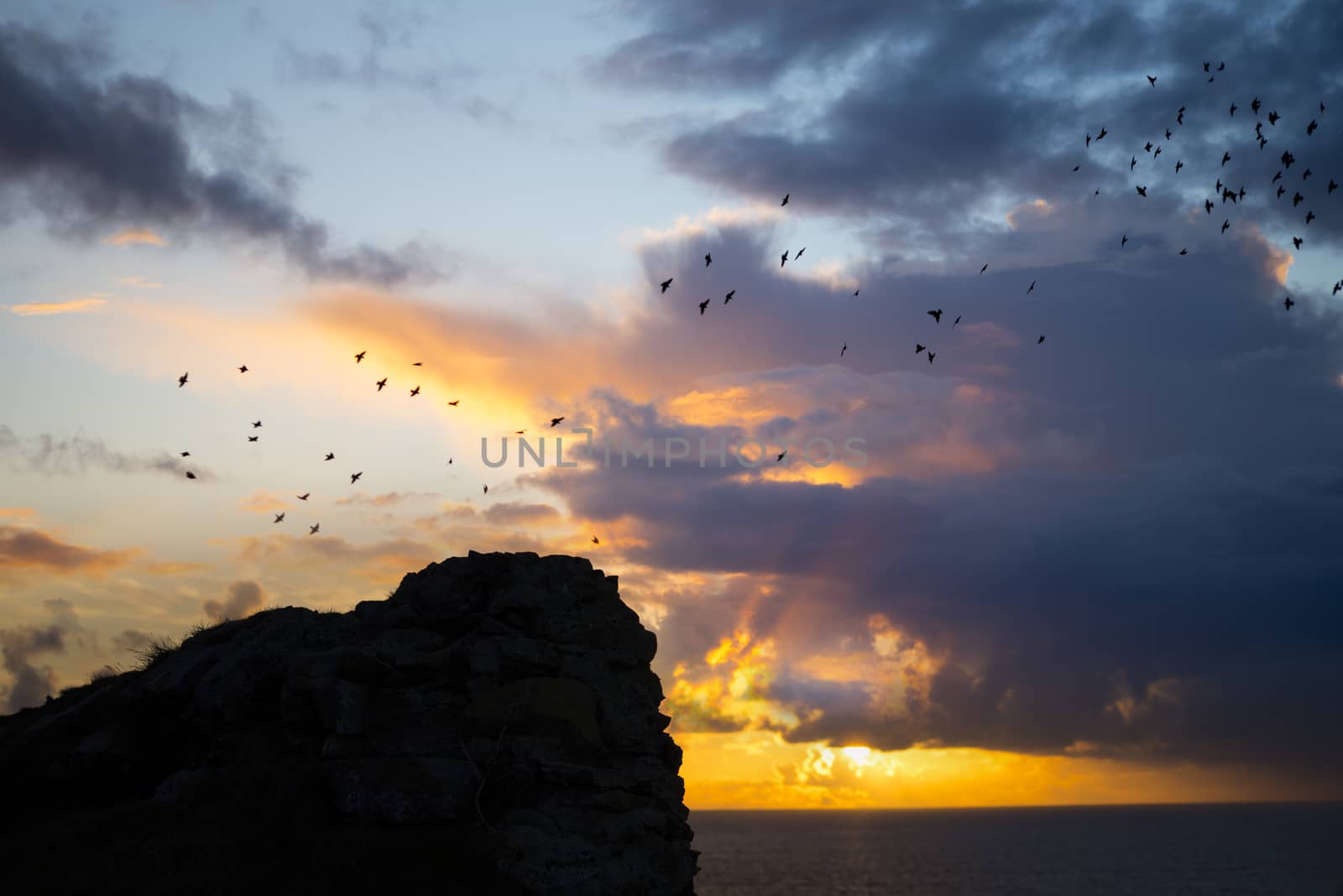 flocks of starlings flying into a bright orange sunset sky above ruins