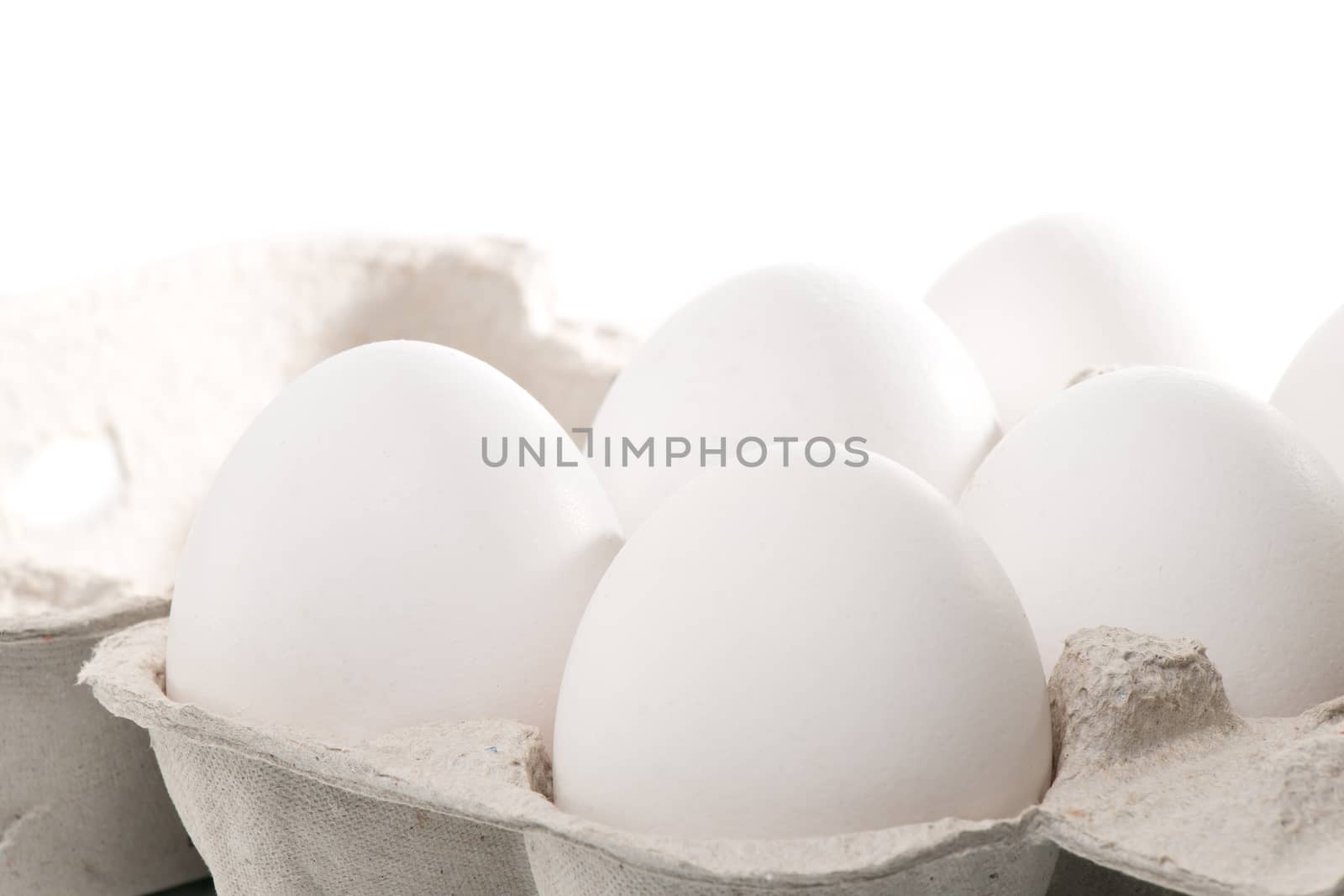 Six white chicken eggs in an egg box