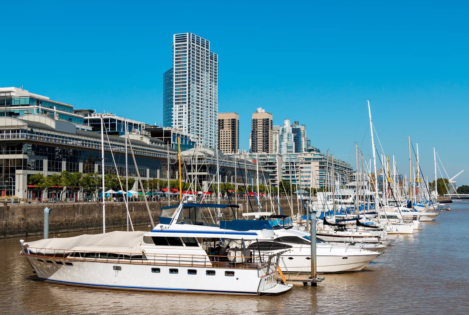 Harbor Puerto Madero Buenos Aires Argentine, skyline and ships