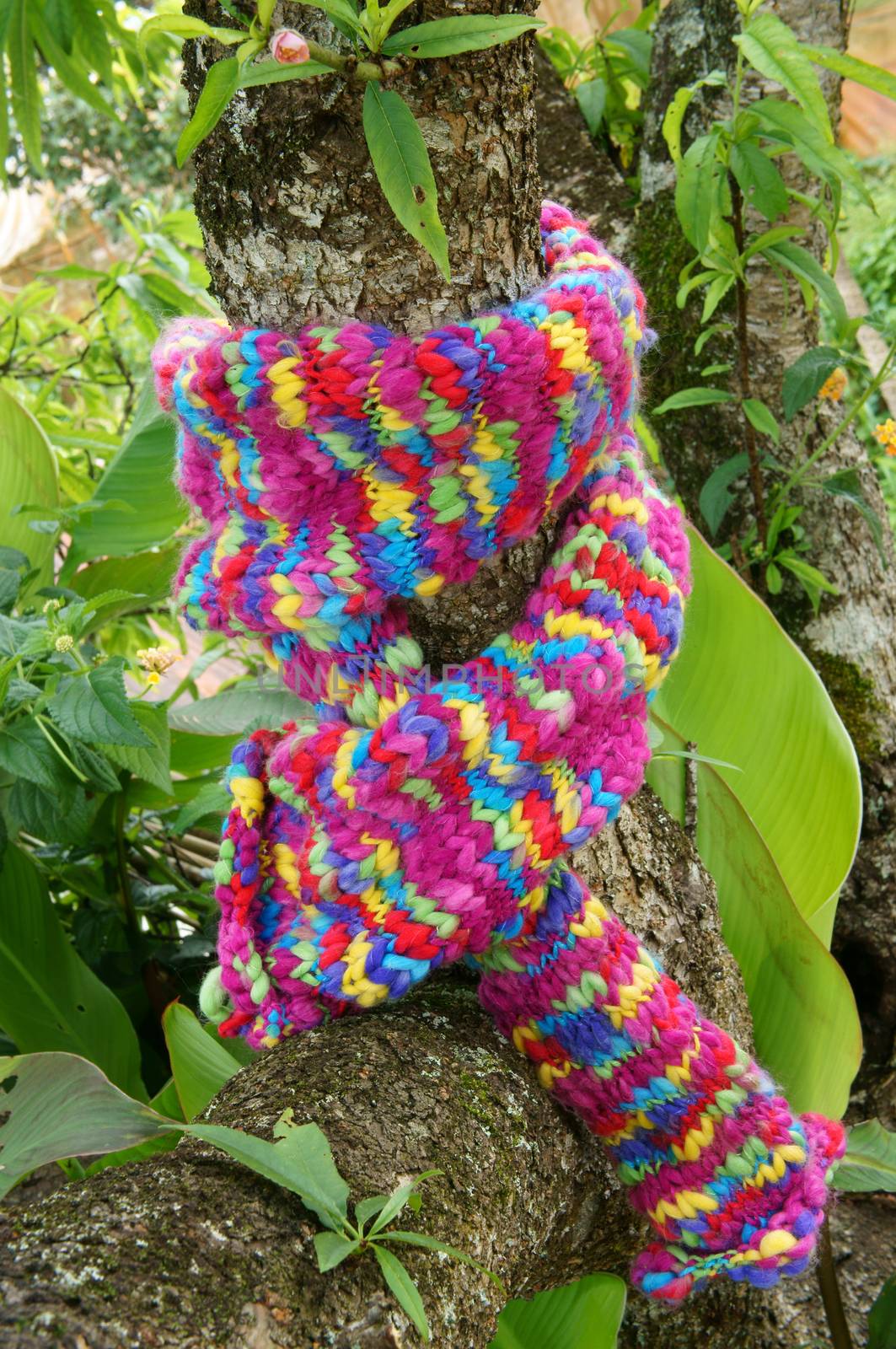 Colorful wollen scarf on green tree trunk on winter day, a sudden gift, beautiful knitted handmade make warm in cold day