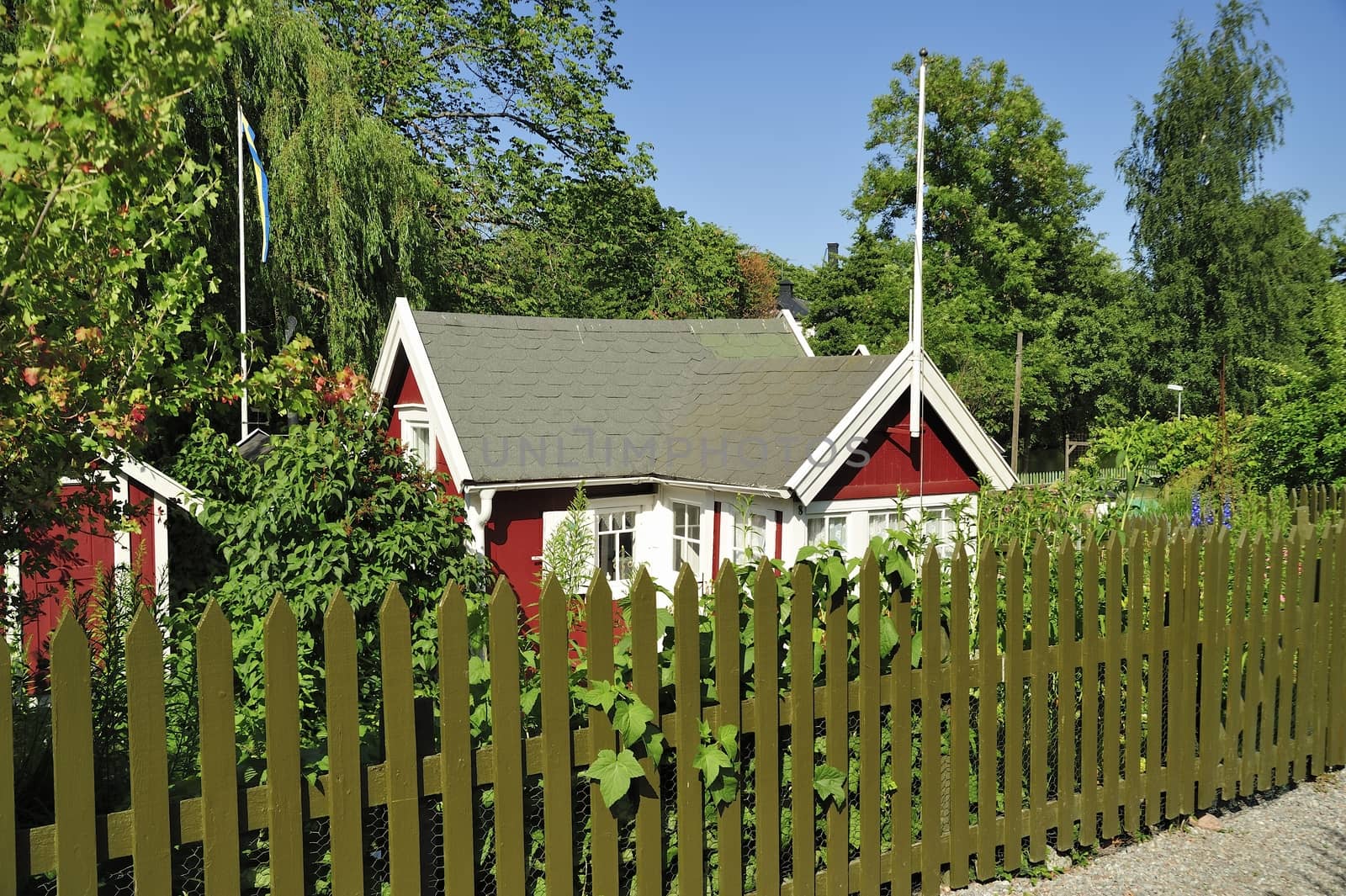 Small red cottage by a green summer meadow.