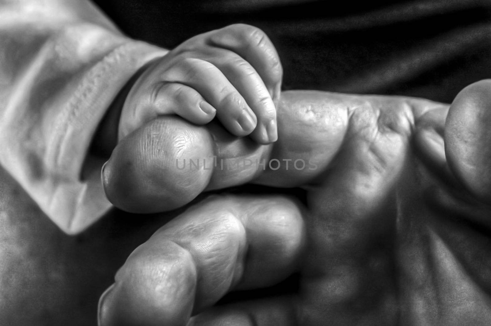 Old and Young Hands by gregorydean