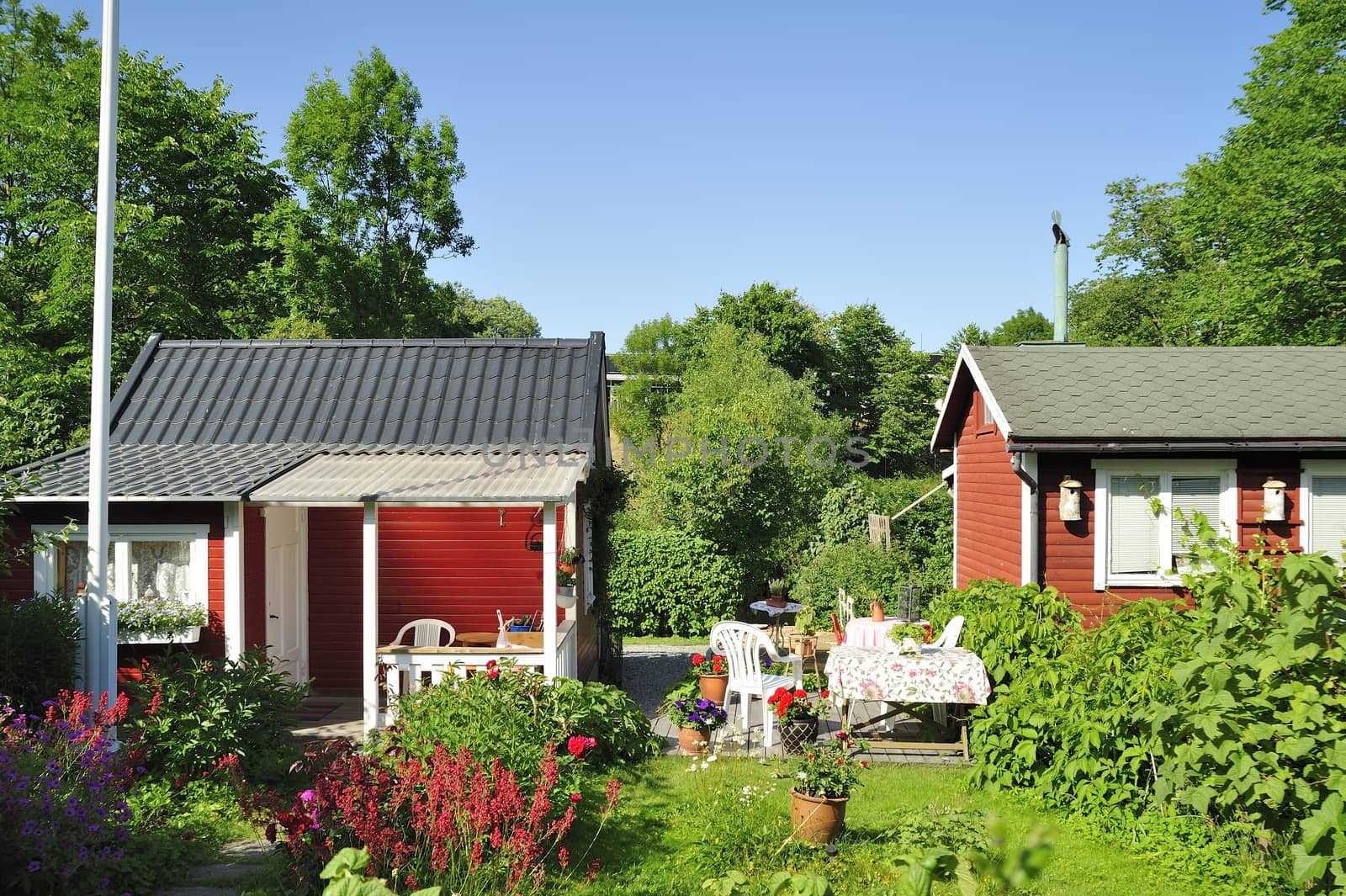 Small red cottage by a green summer meadow.