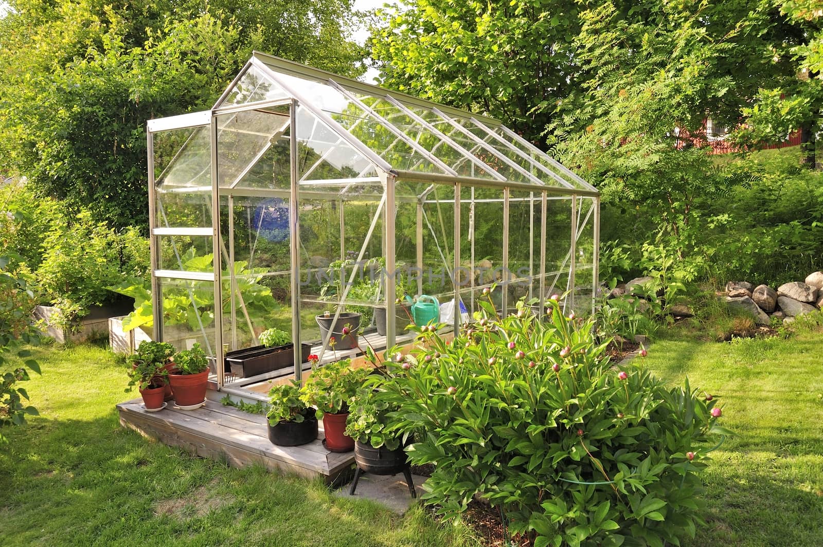 Garden greenhouse by a40757