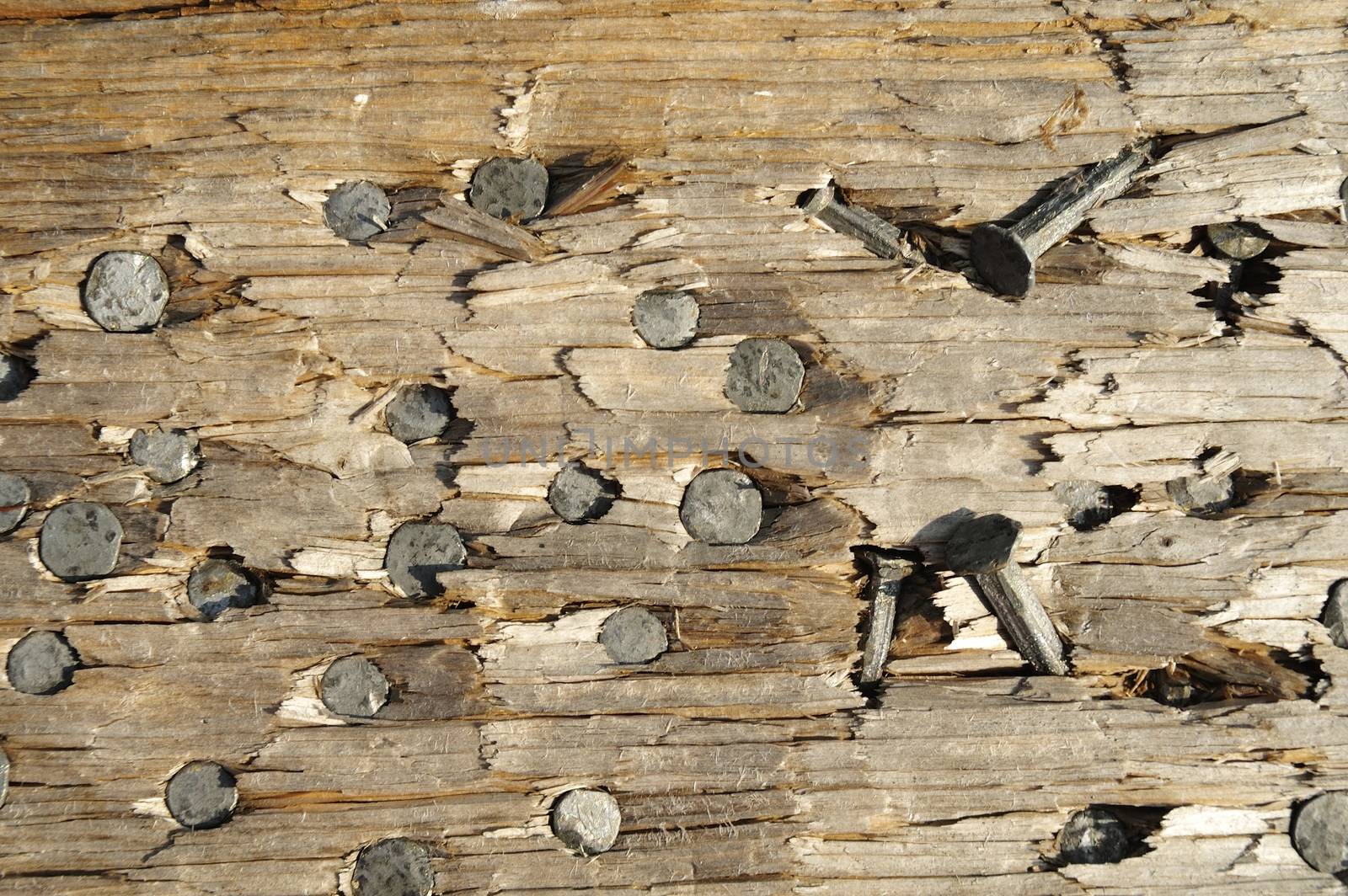 Close up image of nail heads in a plank.