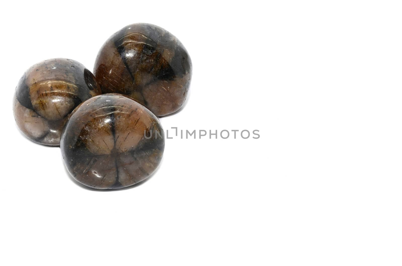 Set of a beautiful Chiastolite - Andalusite tumbled gemstone specimen isolated on white background