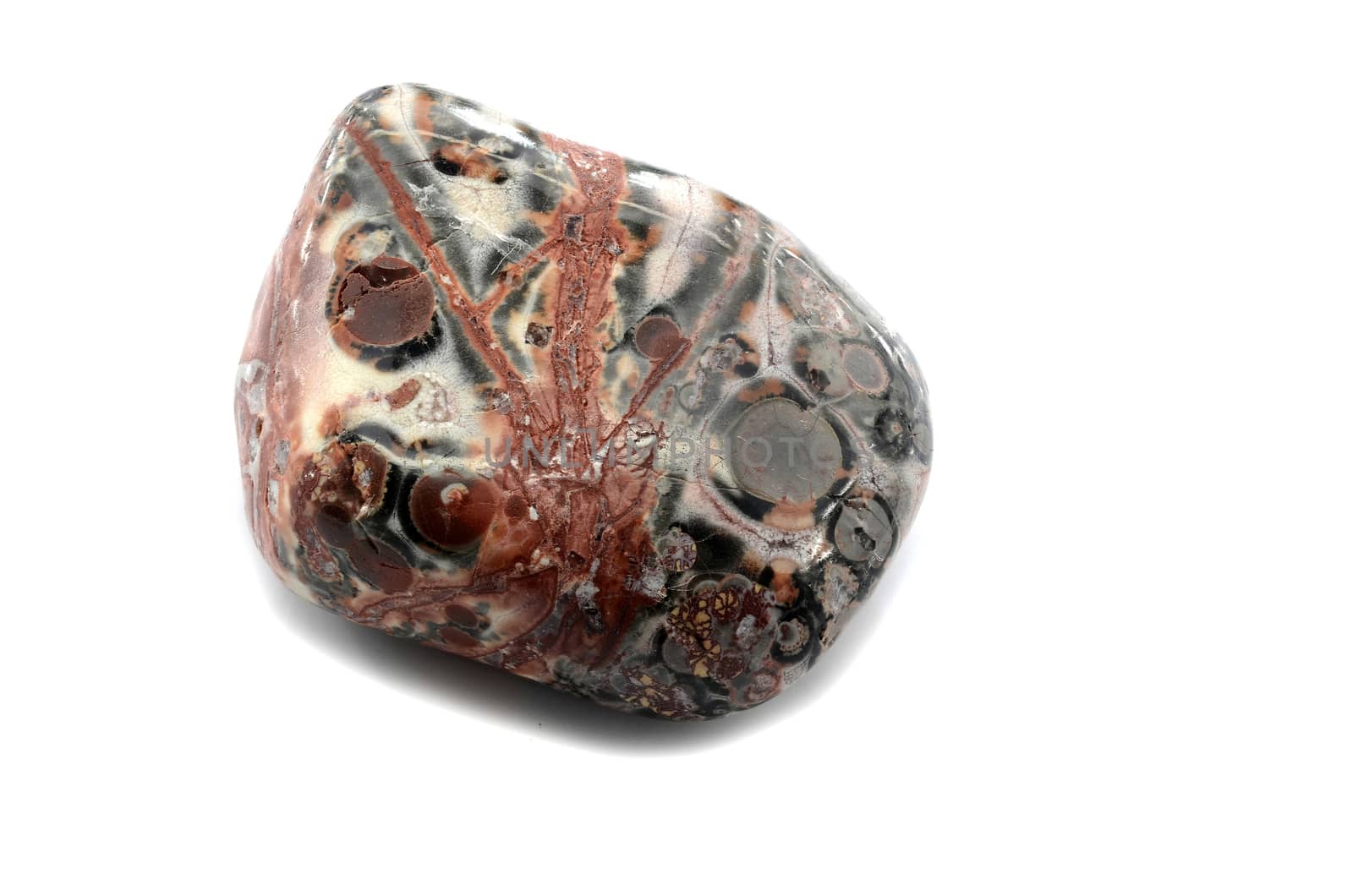 Sample of a beautiful Leopard Skin Jasper tumbled gemstone specimen isolated on white background