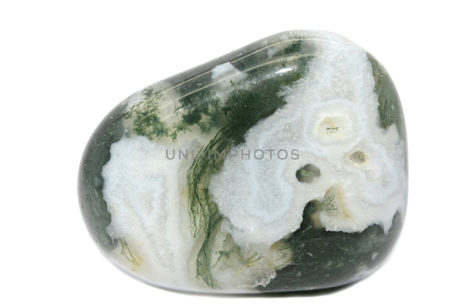 Sample of a beautiful tumbled Tree Agate semiprecious stones isolated on white