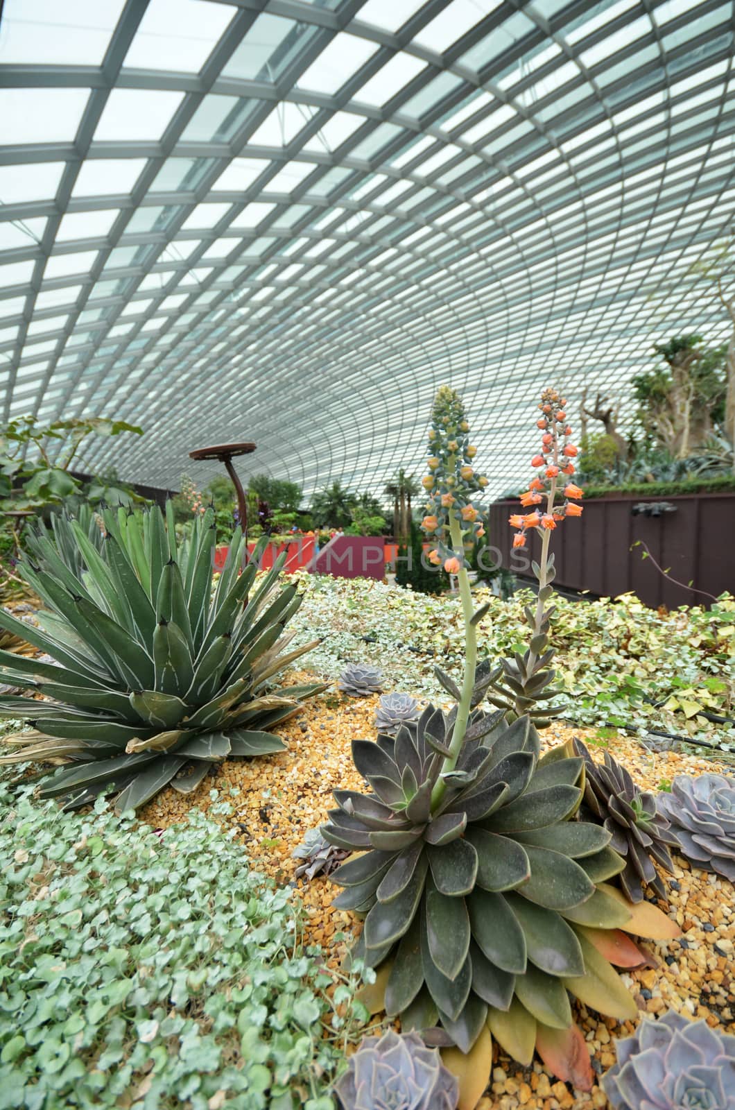 SINGAPORE- SEP 7: View of Flower Dome at Gardens by the Bay on September 7, 2015. in Singapore. Gardens by the Bay is a park spanning 101 hectares of reclaimed land.