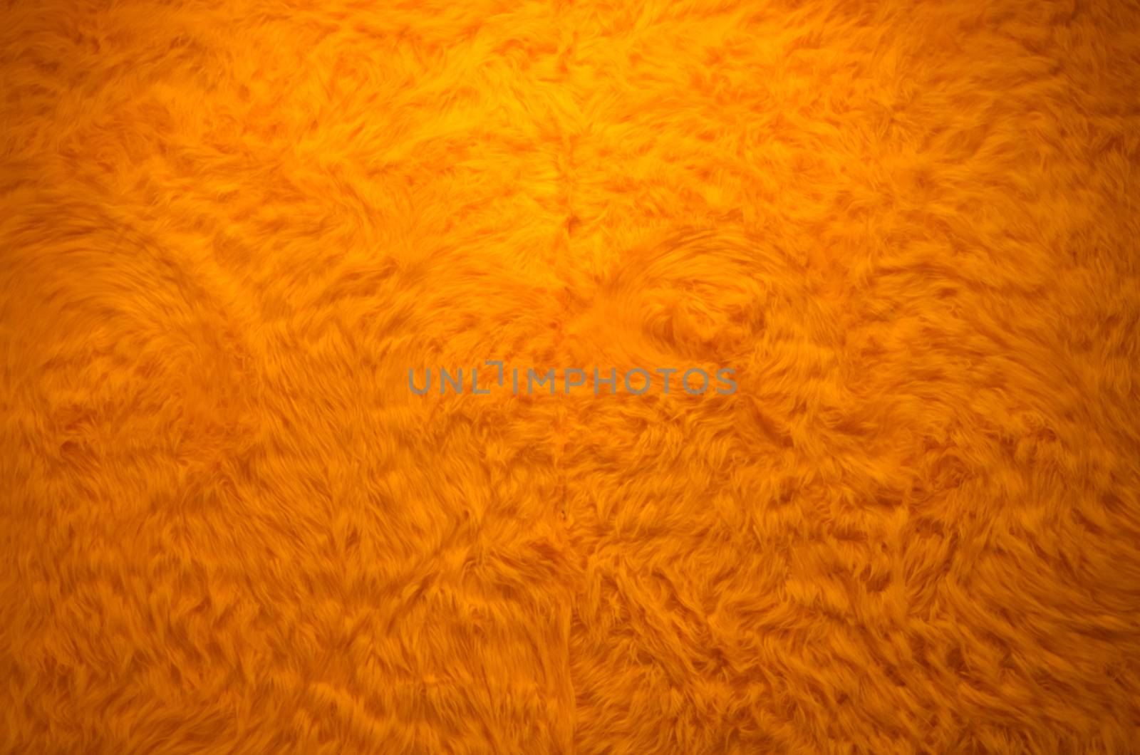 Orange fur texture by siraanamwong