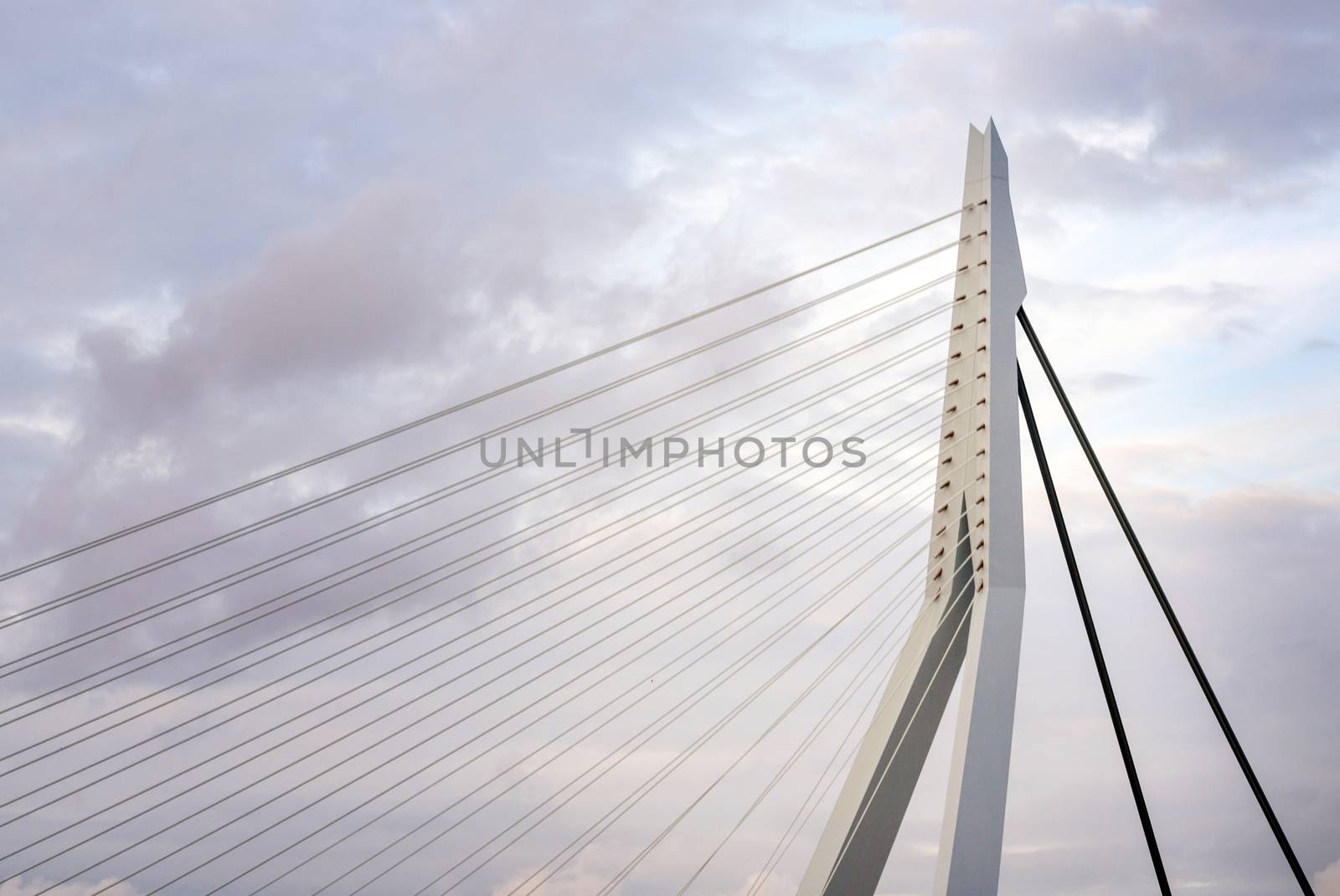 Close up of Erasmus Bridge in Rotterdam by siraanamwong