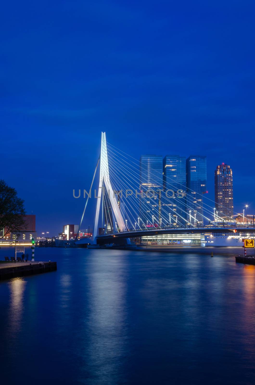 Erasmus Bridge in Rotterdam, Netherlands. Twilight time
