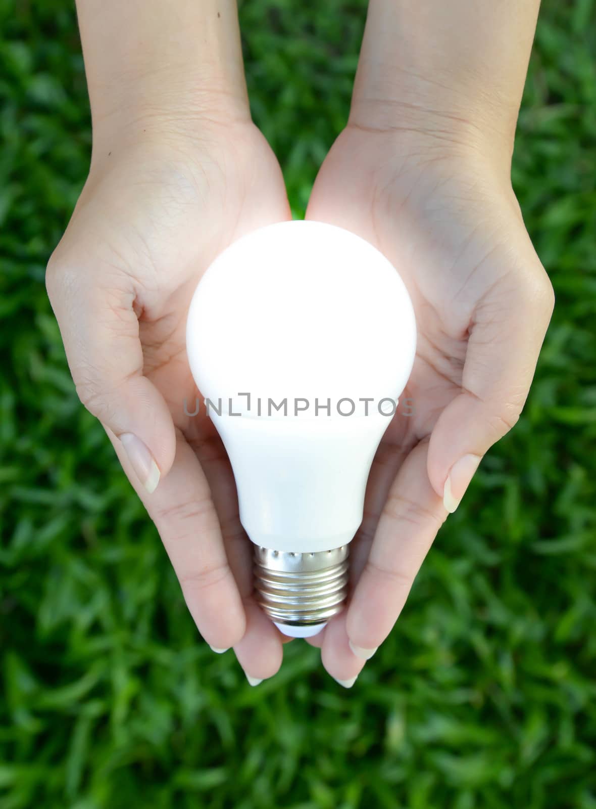 LED bulb - Lighting in our hand